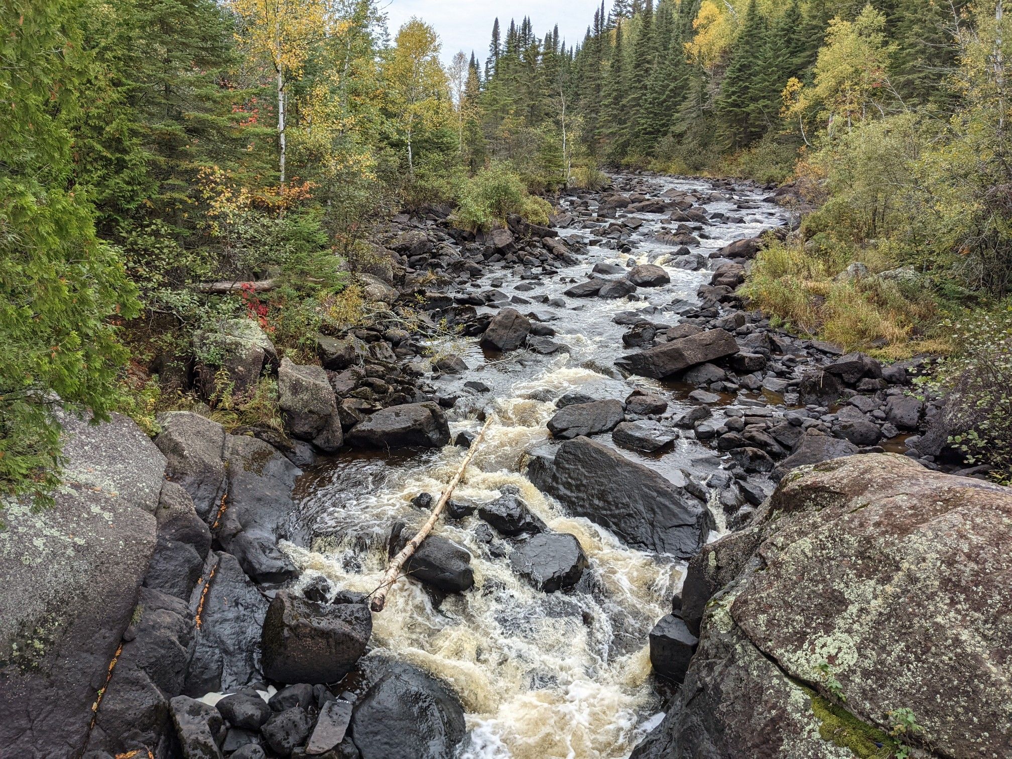 Rocky river flowing through a dense forest under a cloudy sky. - Mystery Loop Trail