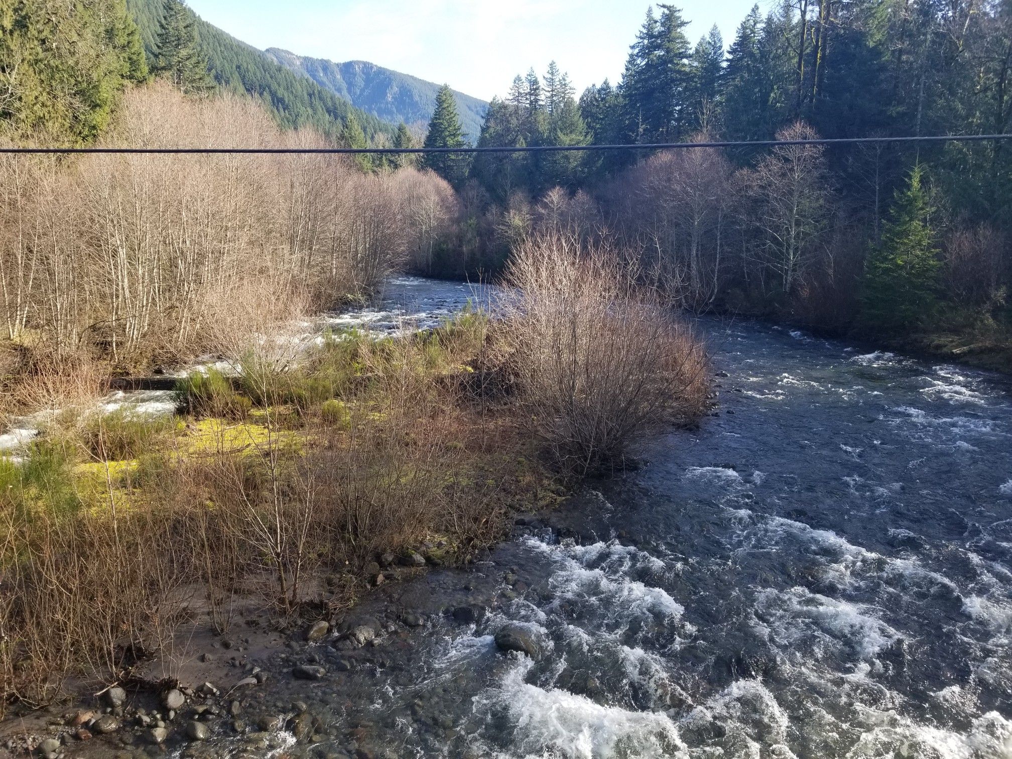 Rushing river in a sunny forest with bare trees and distant mountains. - East Lolo Pass Road