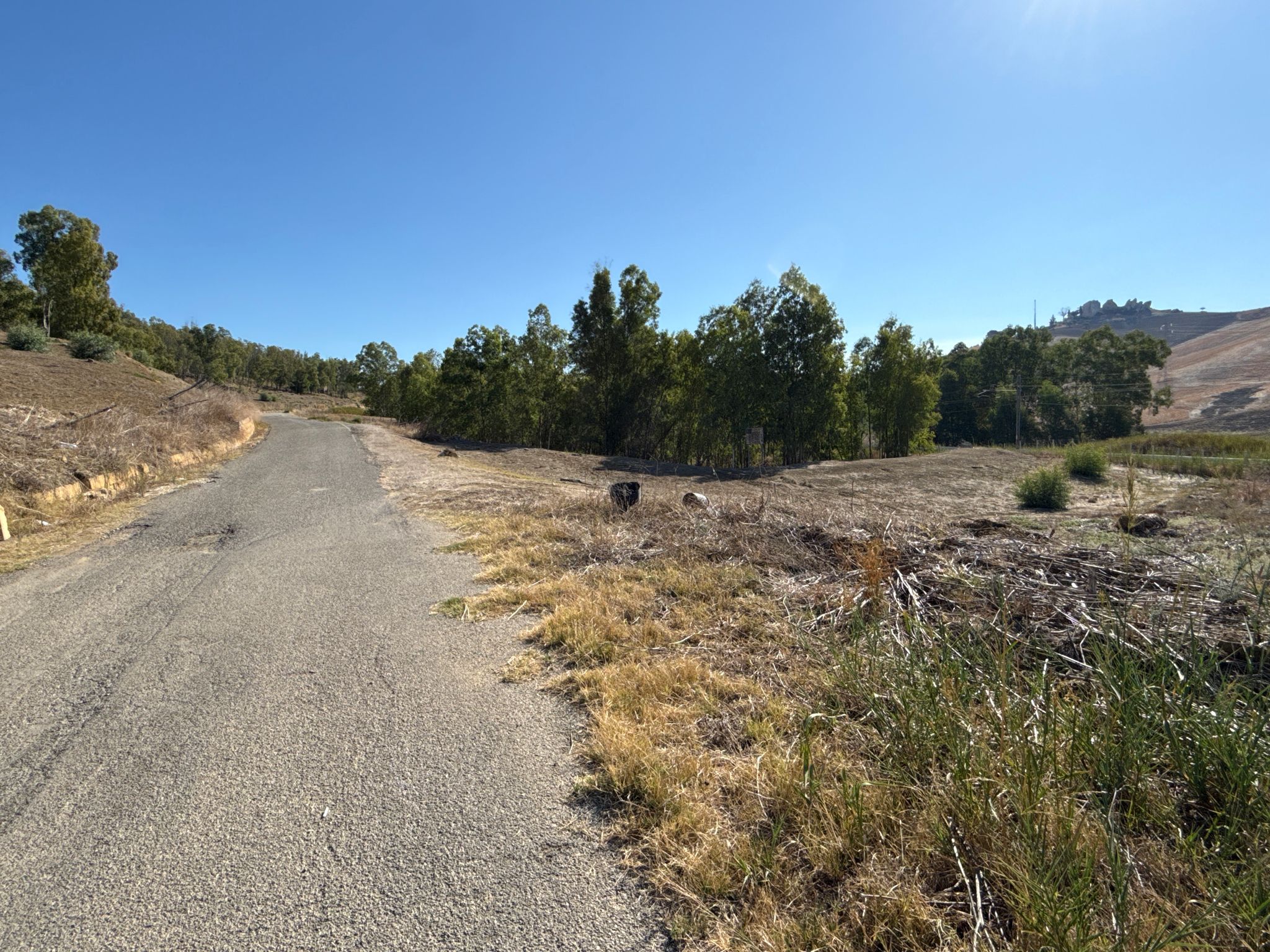 Strada per Montecanino