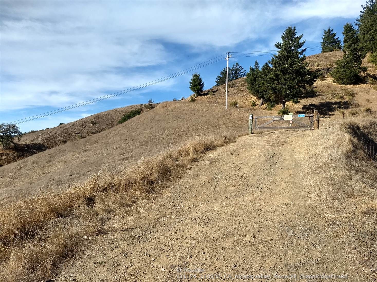 A dirt road ascending a dry grassy hill with scattered trees and blue sky. - Moon Hill Trail 🏞️ – School Trailhead (east) loop from Lagunitas-Forest Knolls