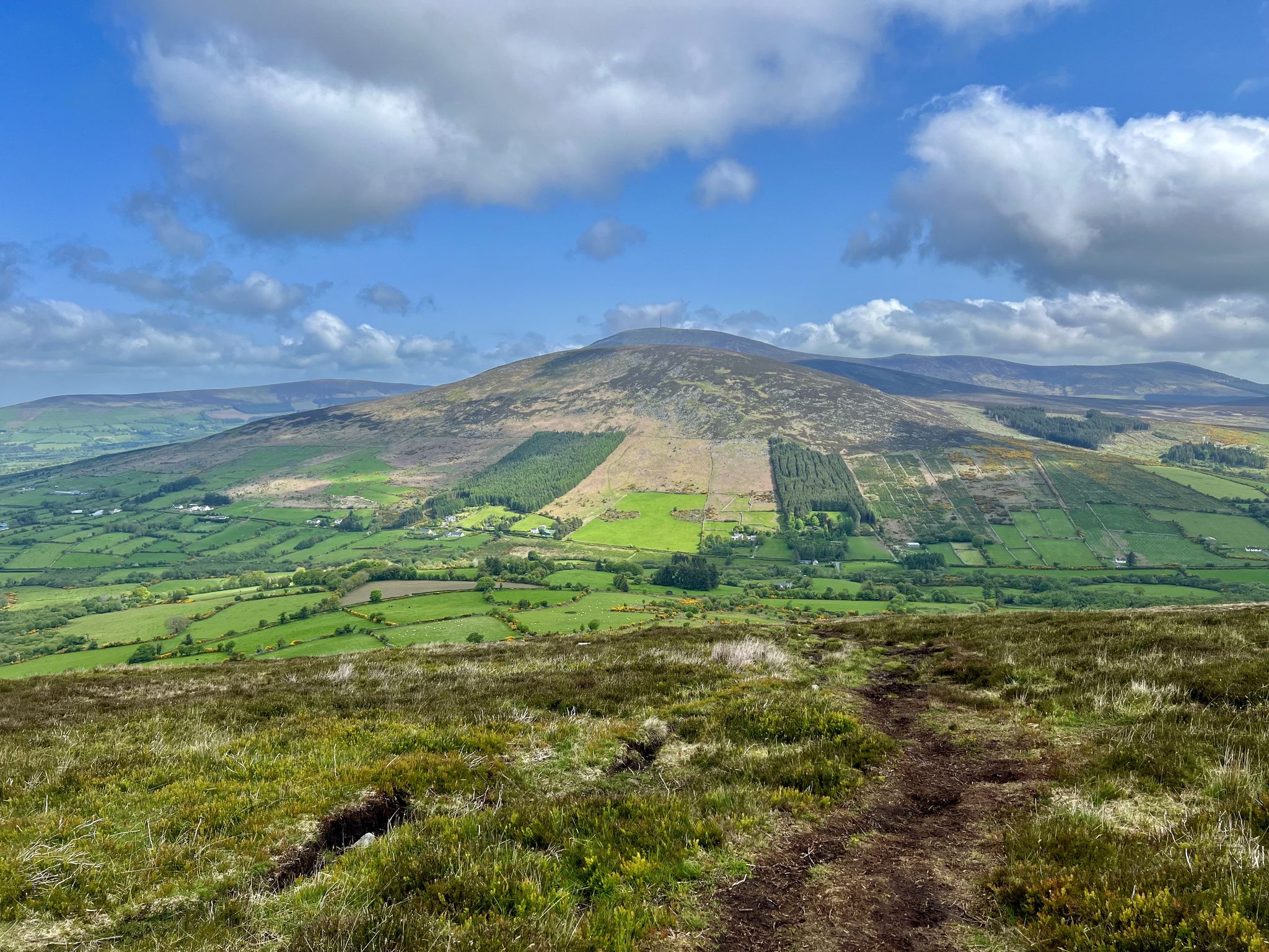 Mt Leinster views are stunning.