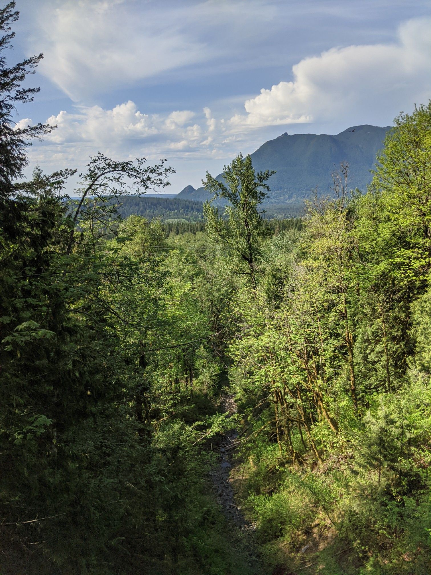 Verdant forest valley with distant mountains under a partly cloudy sky. - Palouse to Cascades State Park Trail
