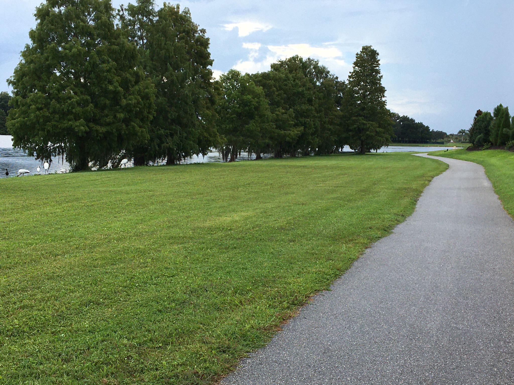 Paved path curves beside a green lawn and trees under an overcast sky. - Beacon Lake Loop