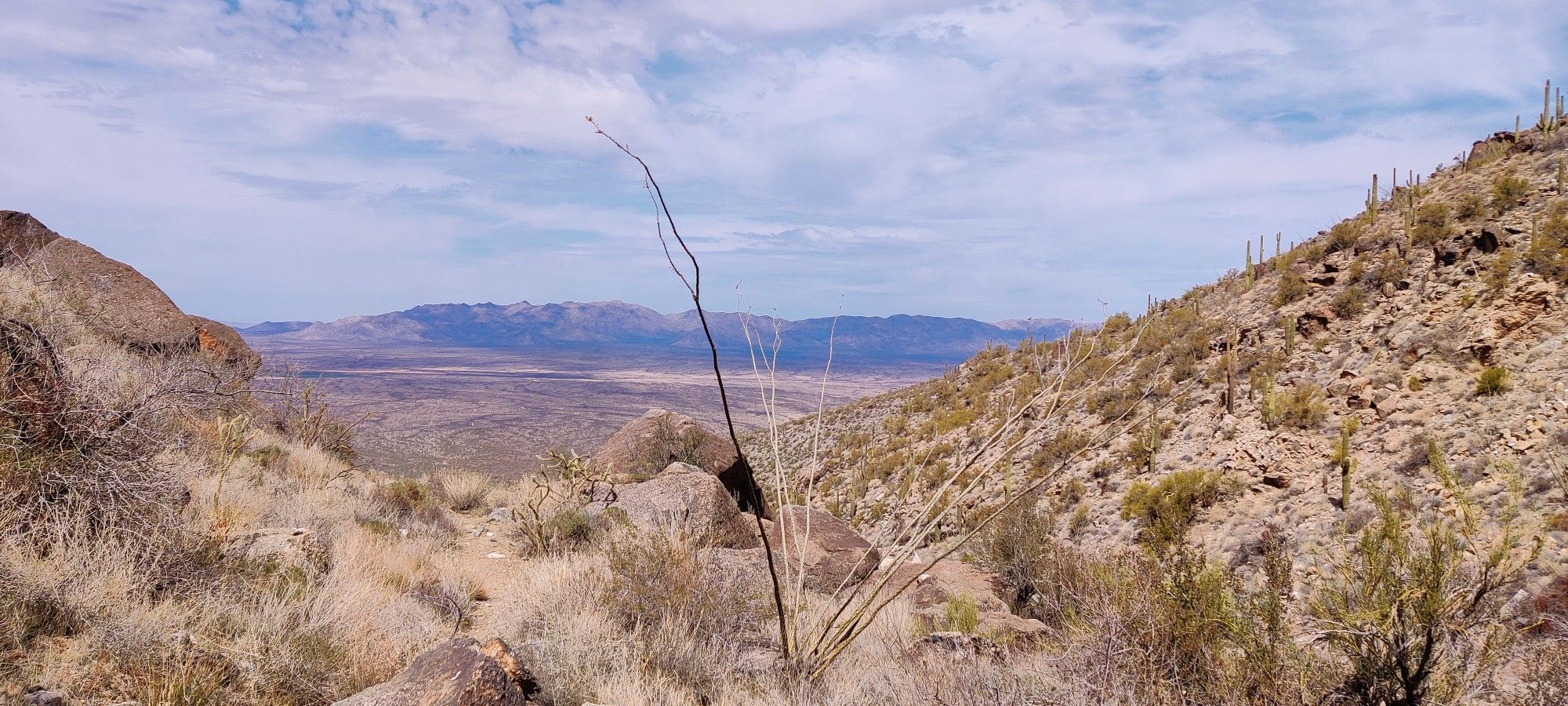 Desert valley with rocky slopes, cacti, and distant mountains under a cloudy sky. - Harquahala Mountain Trail