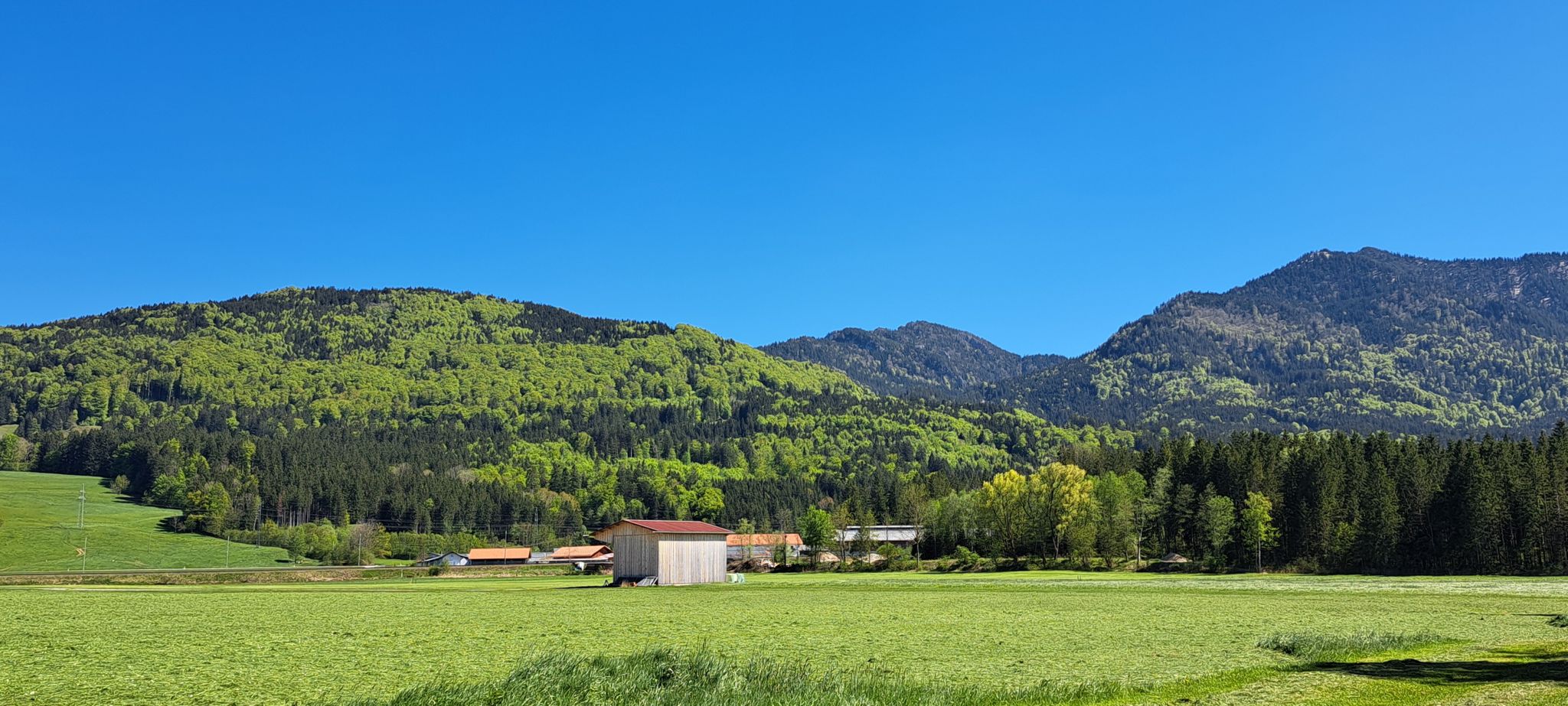 das dunkle Grün der Tannenbäume und das frische Grün der Laubbäume 💚😍