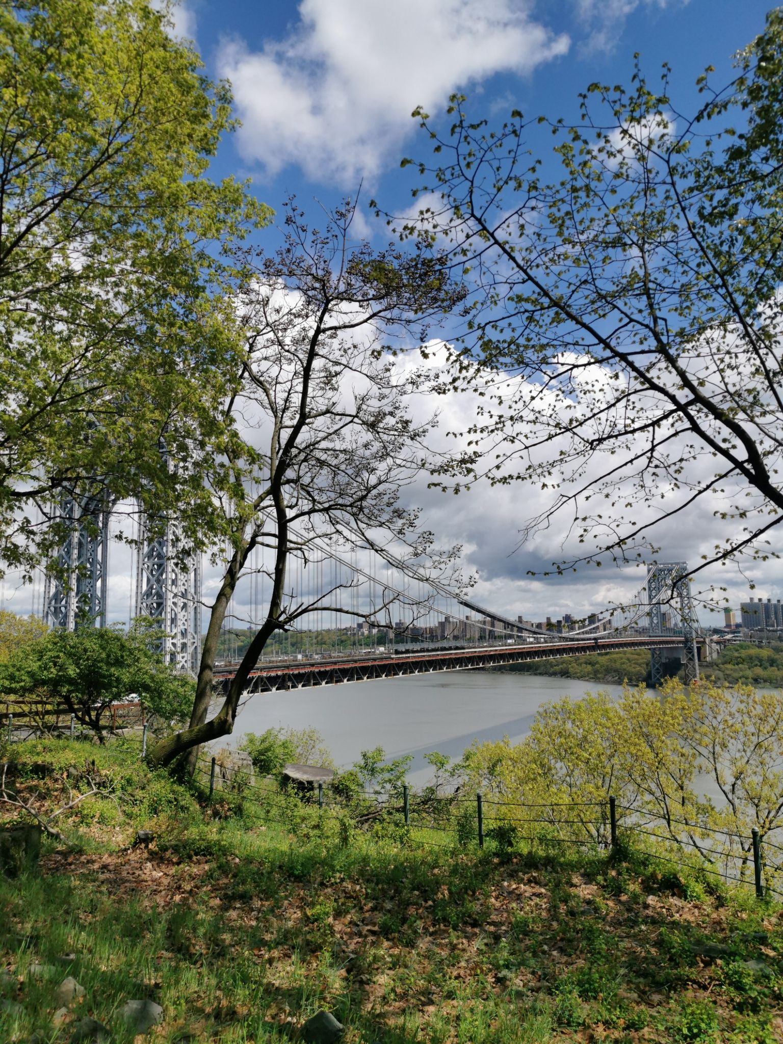 A suspension bridge spans a river, framed by trees under a bright, cloudy sky. - Fort Lee Historic Park Trails