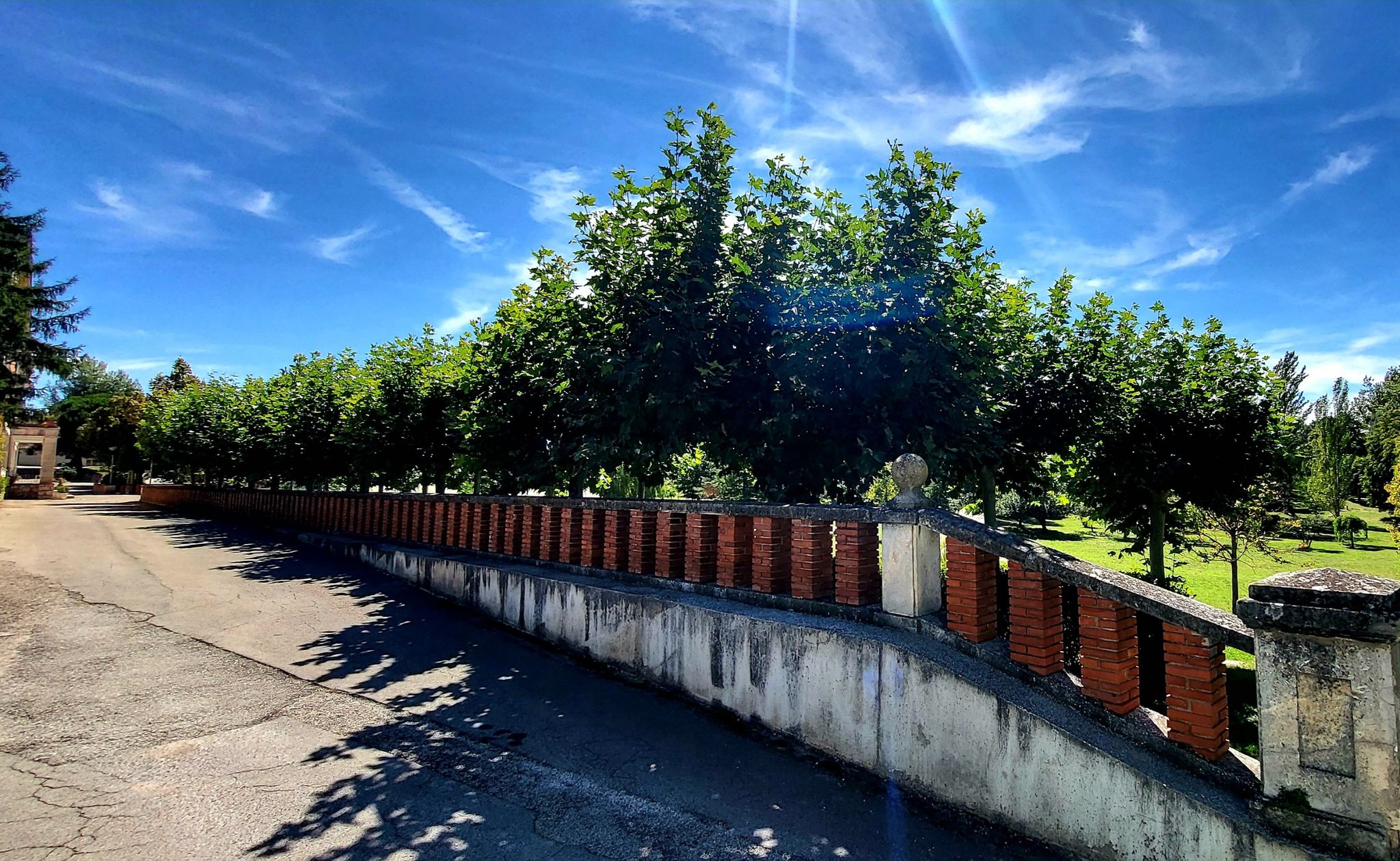 Ein Blick in den Garten der Kartause