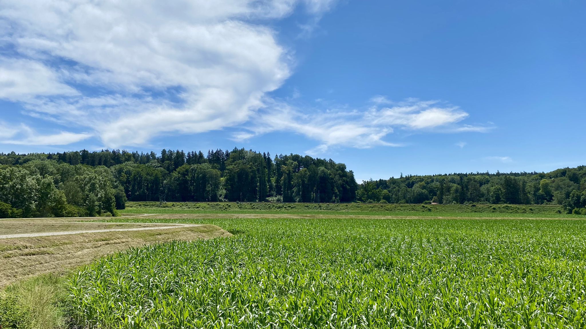 Blick auf Burgstall Gegenpoint
