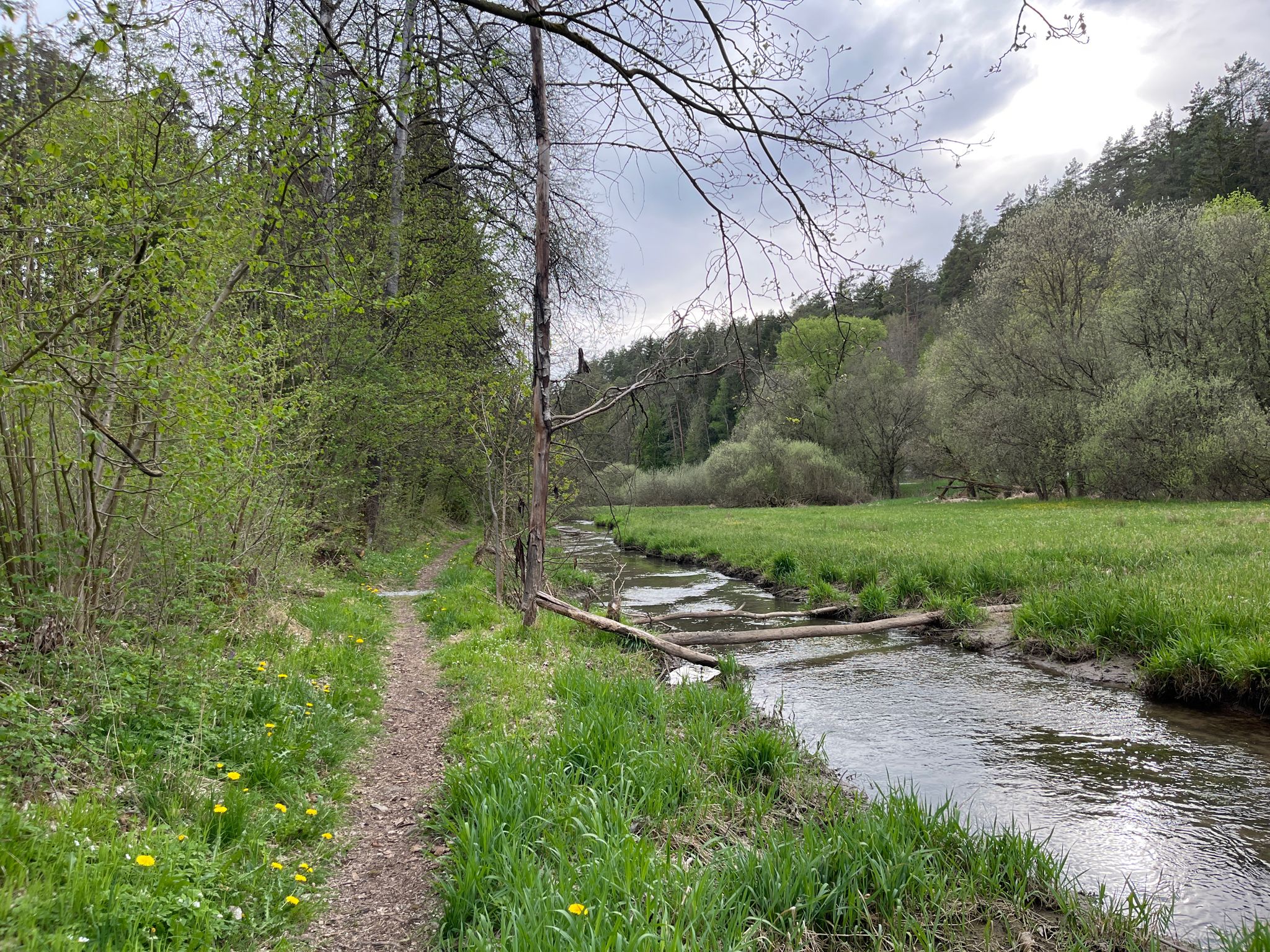 Unterwegs im Schwalbachtal