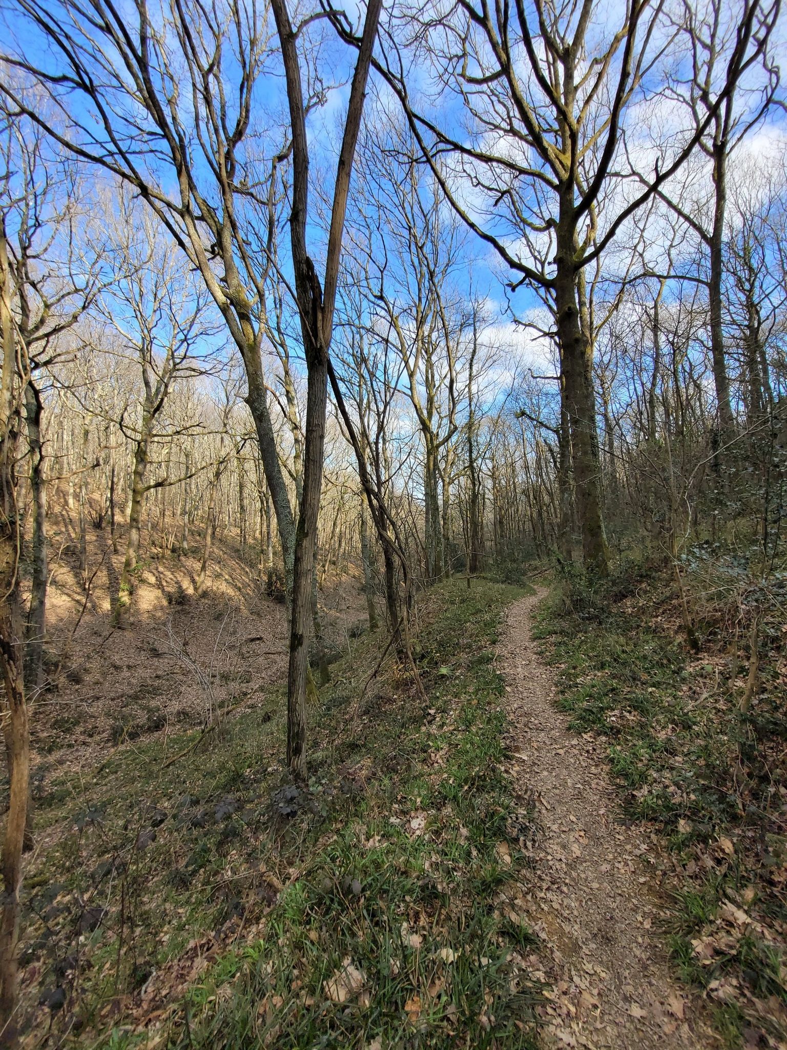 Dans le vallon du ruisseau de Moncaup.
