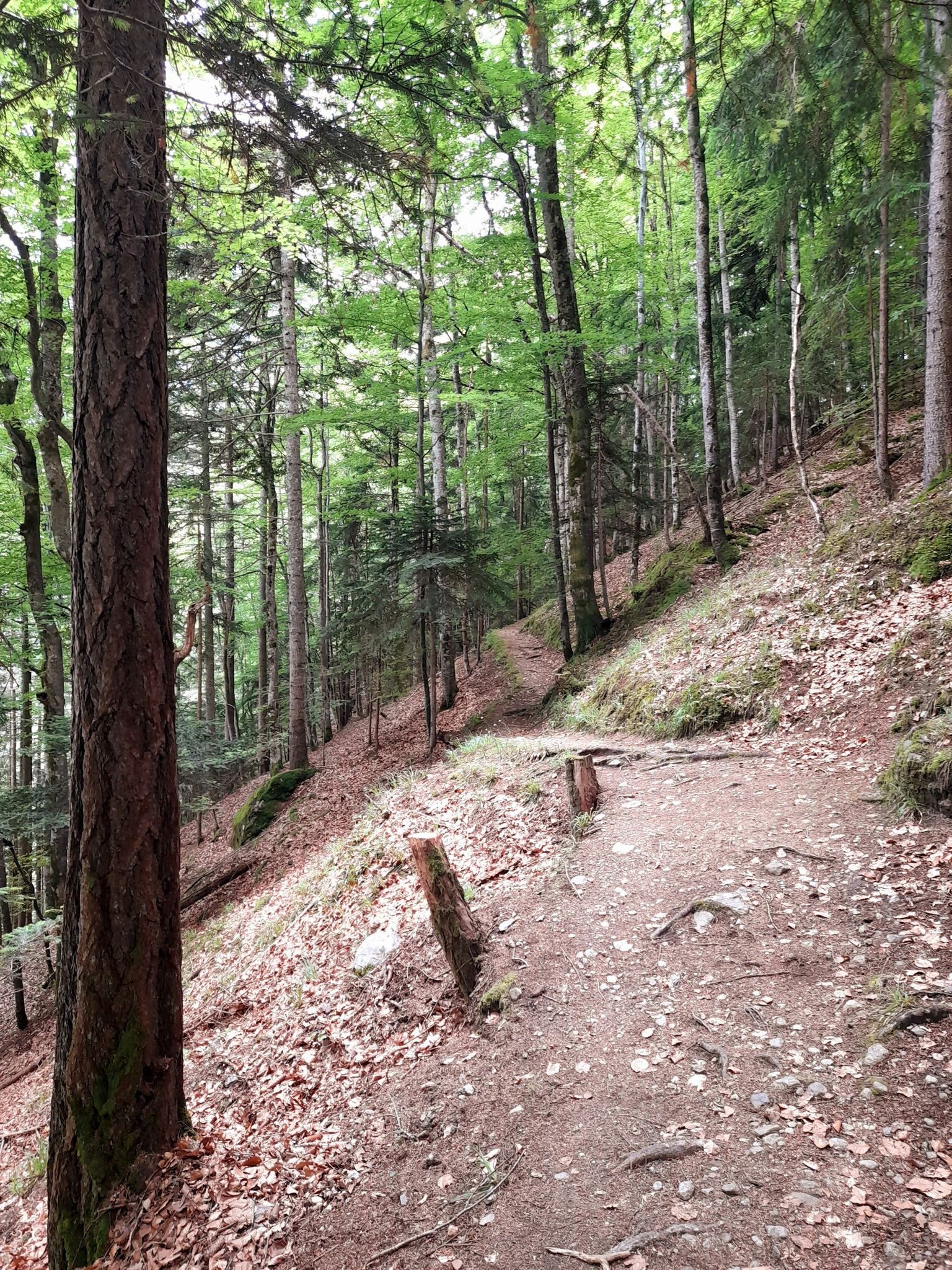 schöner Wanderweg