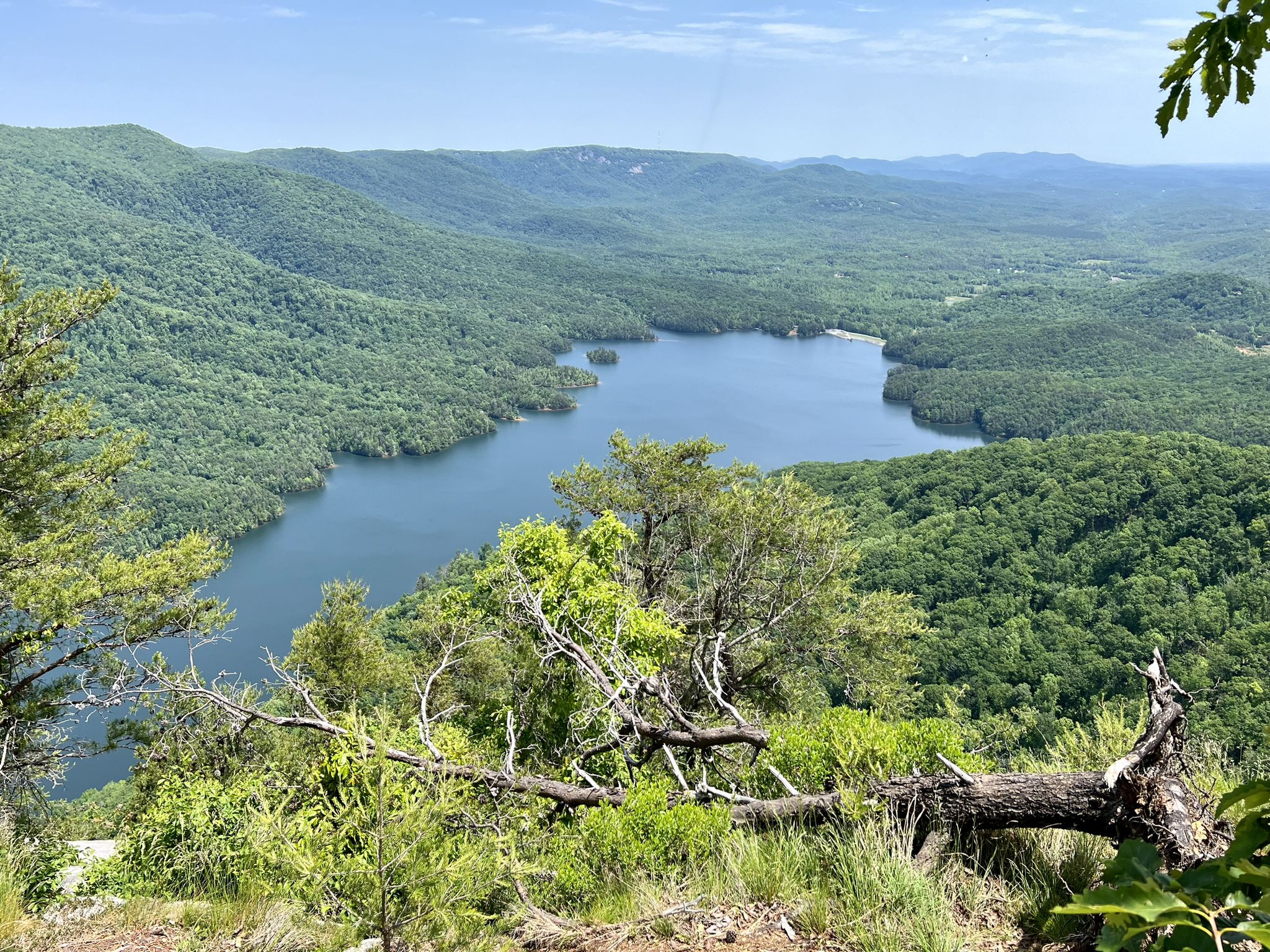 Panoramic view of a lake surrounded by lush green mountains on a clear day. - Table Rock Trail