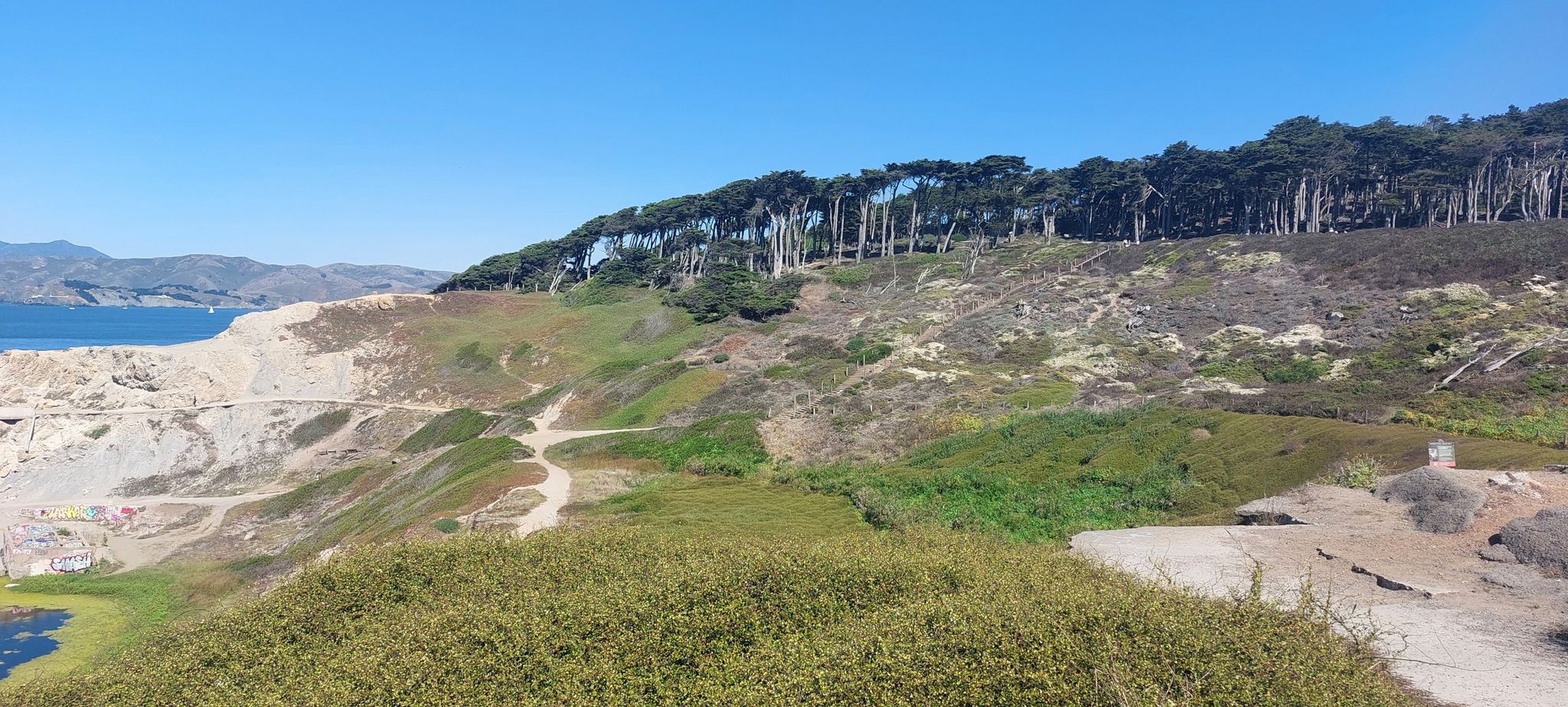 Green hillside with tall trees overlooking a body of water and distant mountains. - Dutch Windmill – Golden Gate Park loop from 24th Street Mission