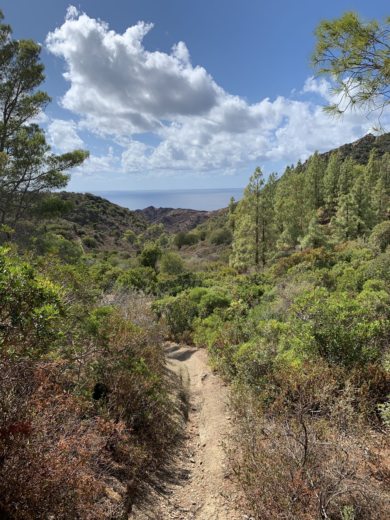 Punto panoramico 