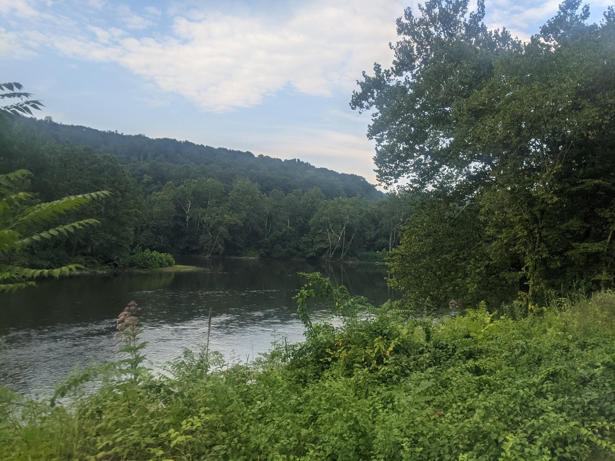 A wide river flows past lush green forested hills under an overcast sky. - Uniontown KOA Campground loop from West Newton