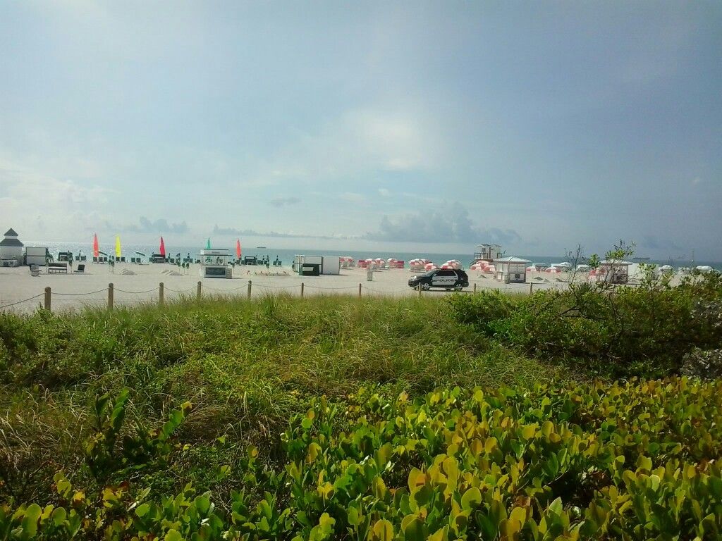 miami beach