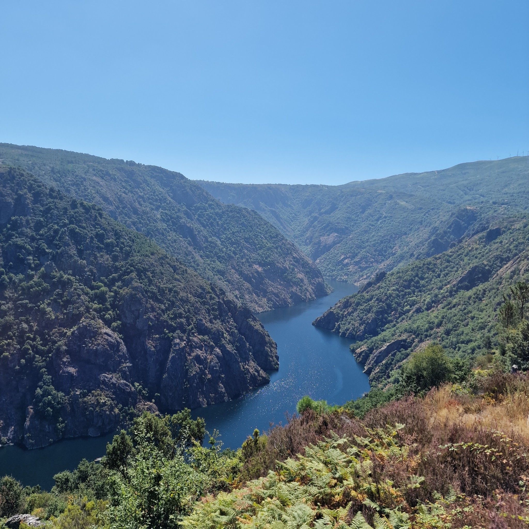 Mirador