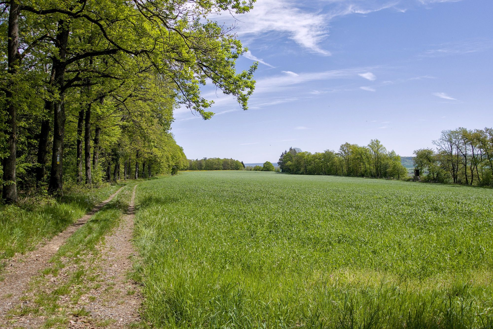 Dafür entlohnt der Blick bei der Ausfahrt aus dem Wald