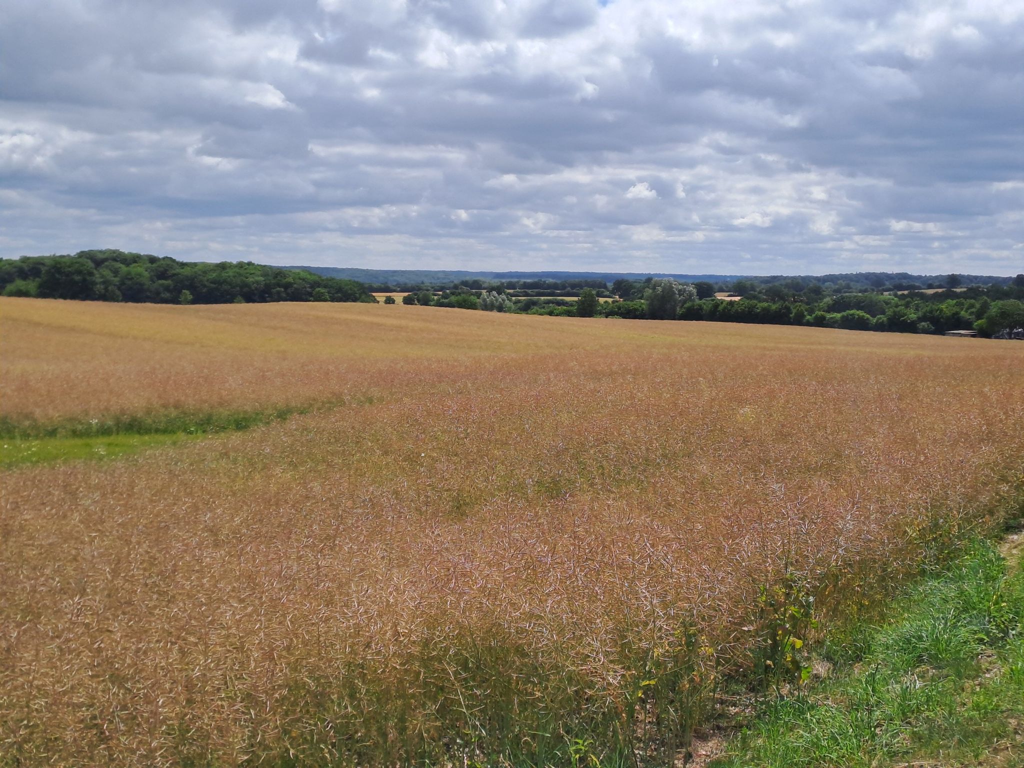 Die hügelige Landschaft der Stecknitz-Region