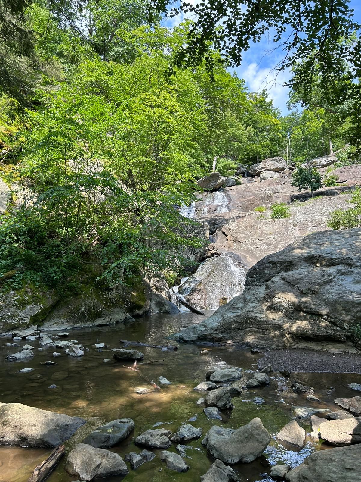 A small waterfall cascades over rocks into a clear stream surrounded by green trees. - Catoctin Mountain Park – Utica Covered Bridge loop from Utica