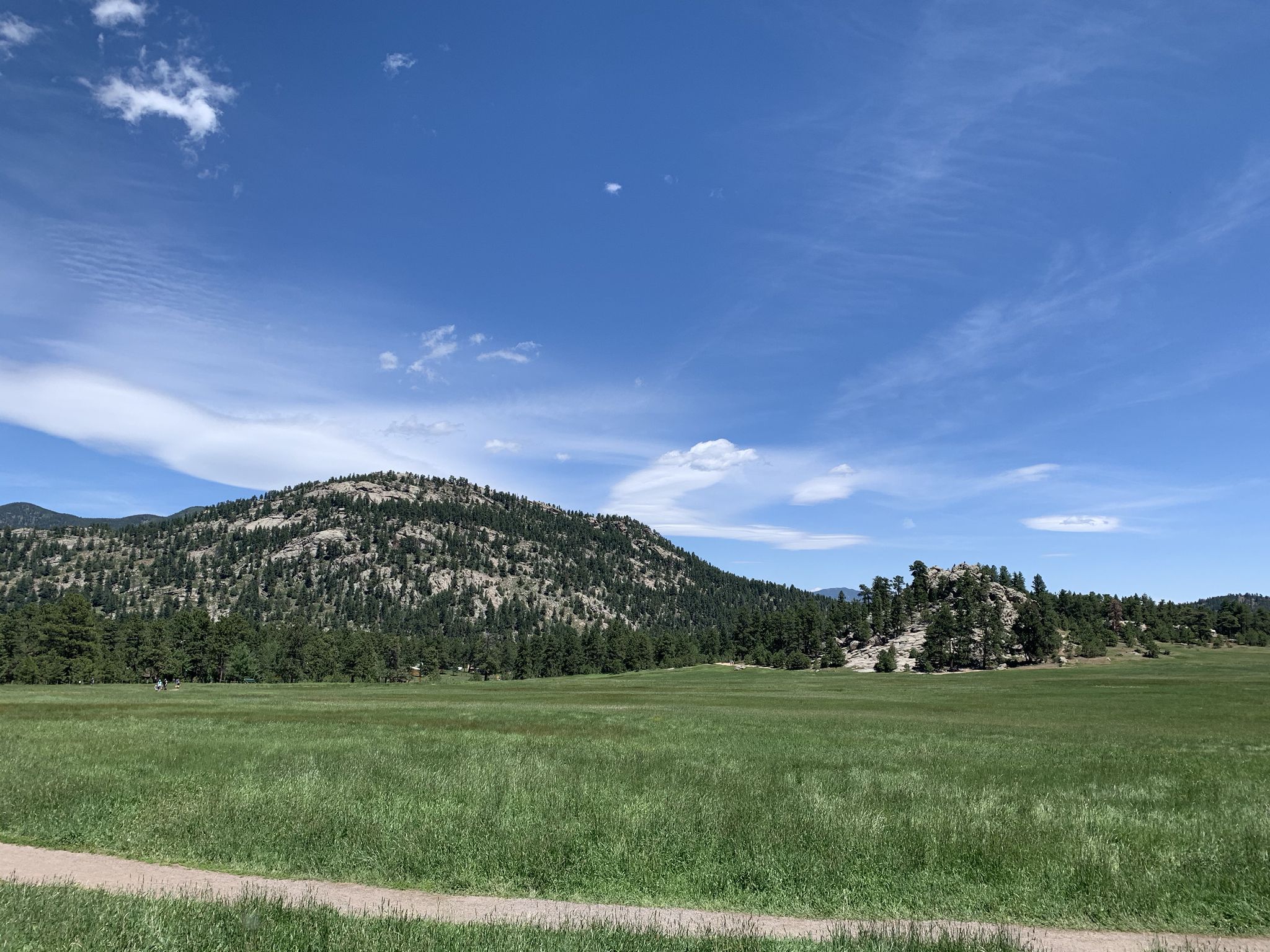 Expansive green field leading to forested hills under a bright blue sky. - Dedisse Park Trail to Evergreen Mountain loop
