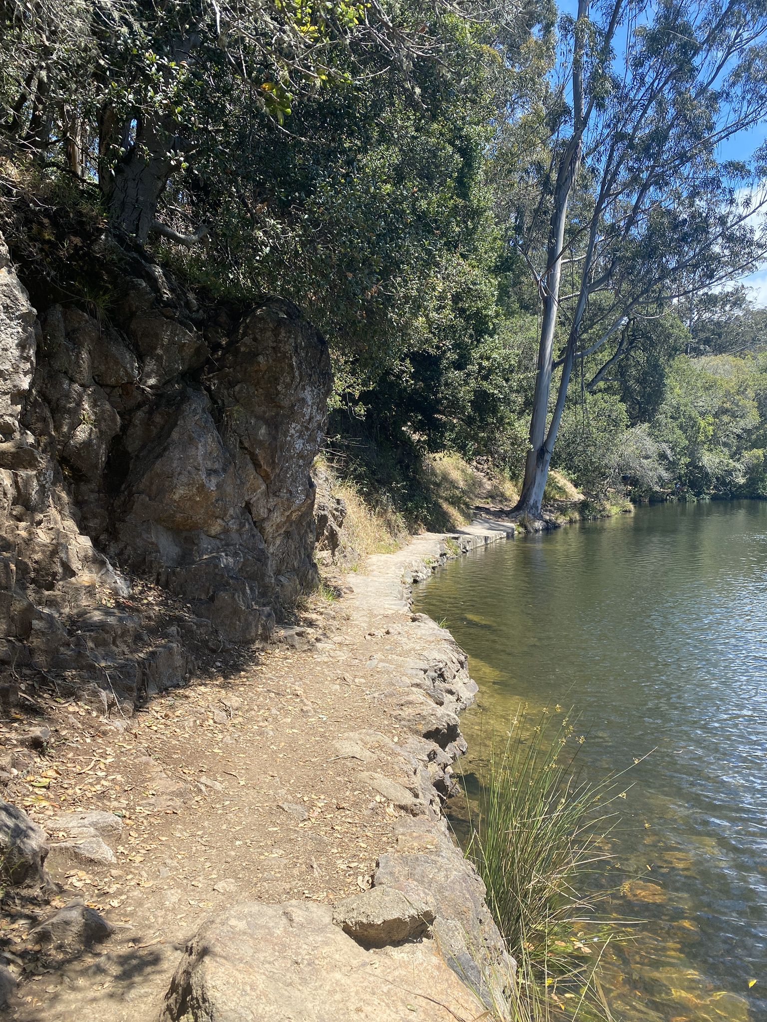Narrow dirt path next to a calm lake, with rocky cliffs and trees. - The Temple Under Lake Anza – Lake Anza loop from Tilden Regional Park
