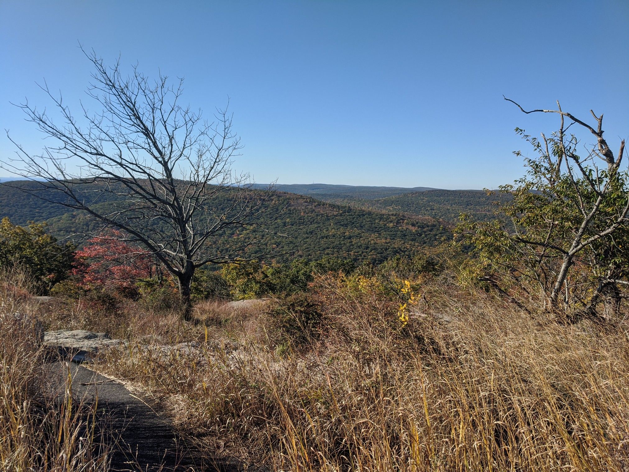 Sunny mountain vista with dry grass, bare trees, and distant forested hills. - Bear Mountain Double Loop