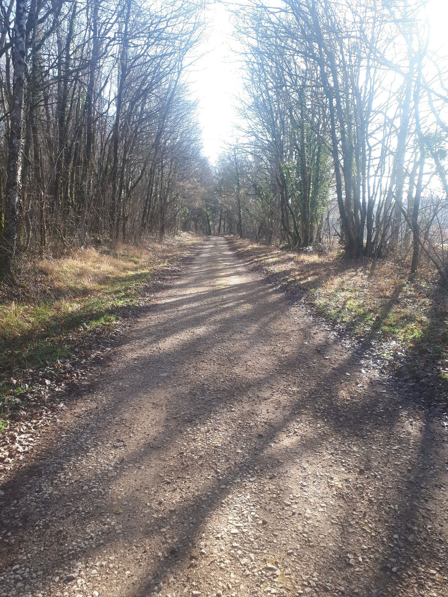 Belle allée