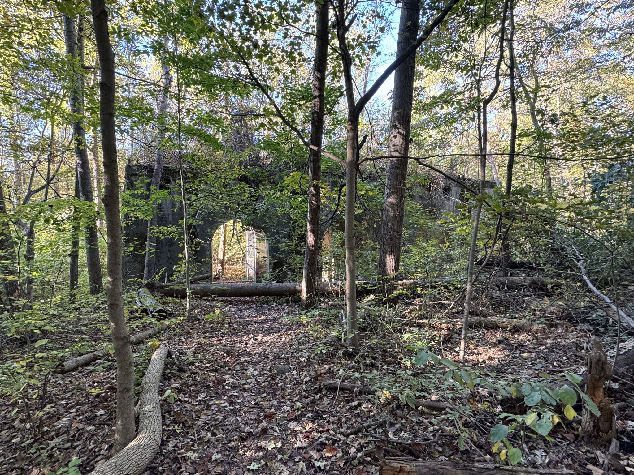 An old stone archway stands amidst a dense, sun-dappled forest. - Monocacy Hill Lower Trail Loop