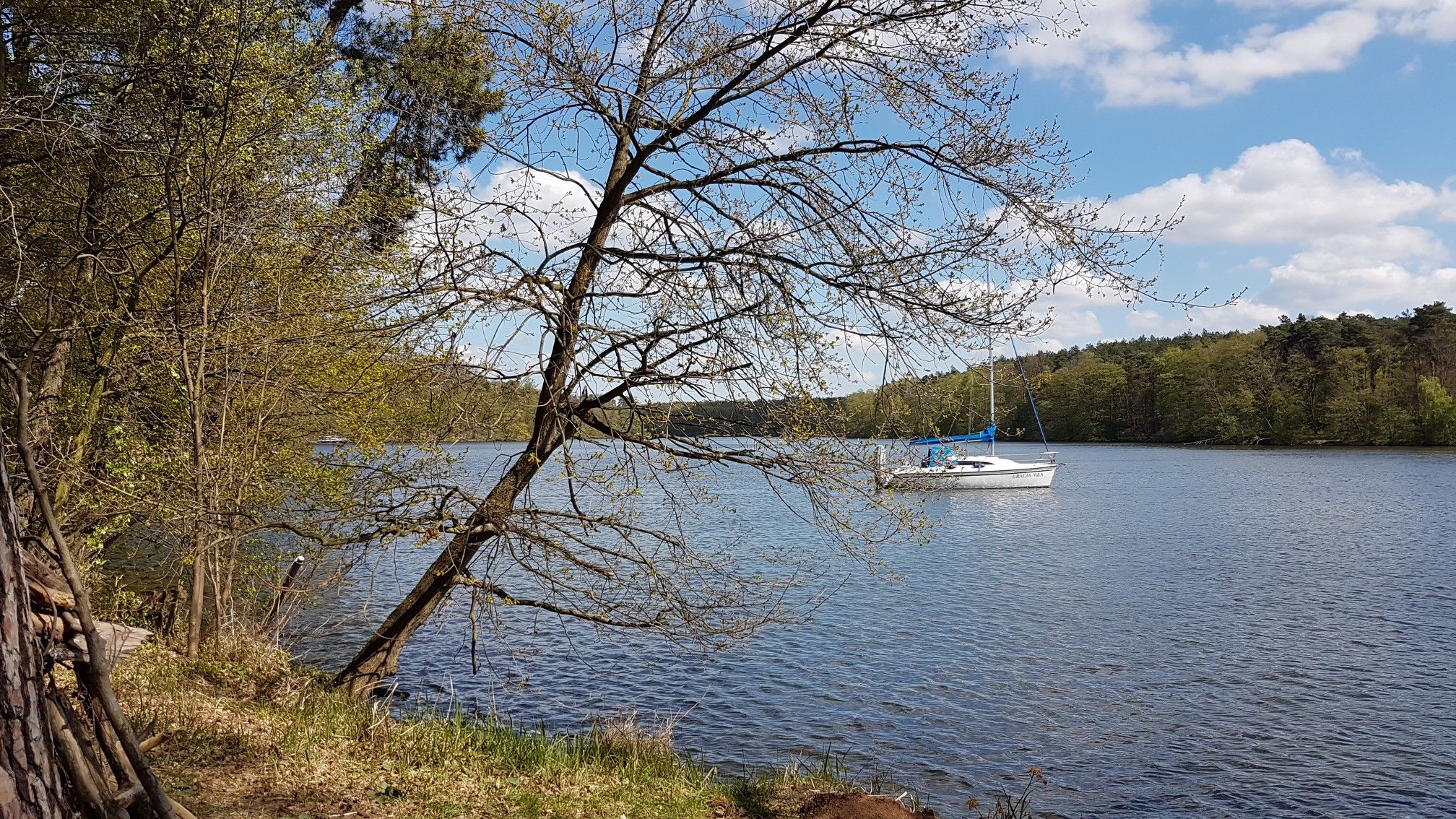 Große Krampe