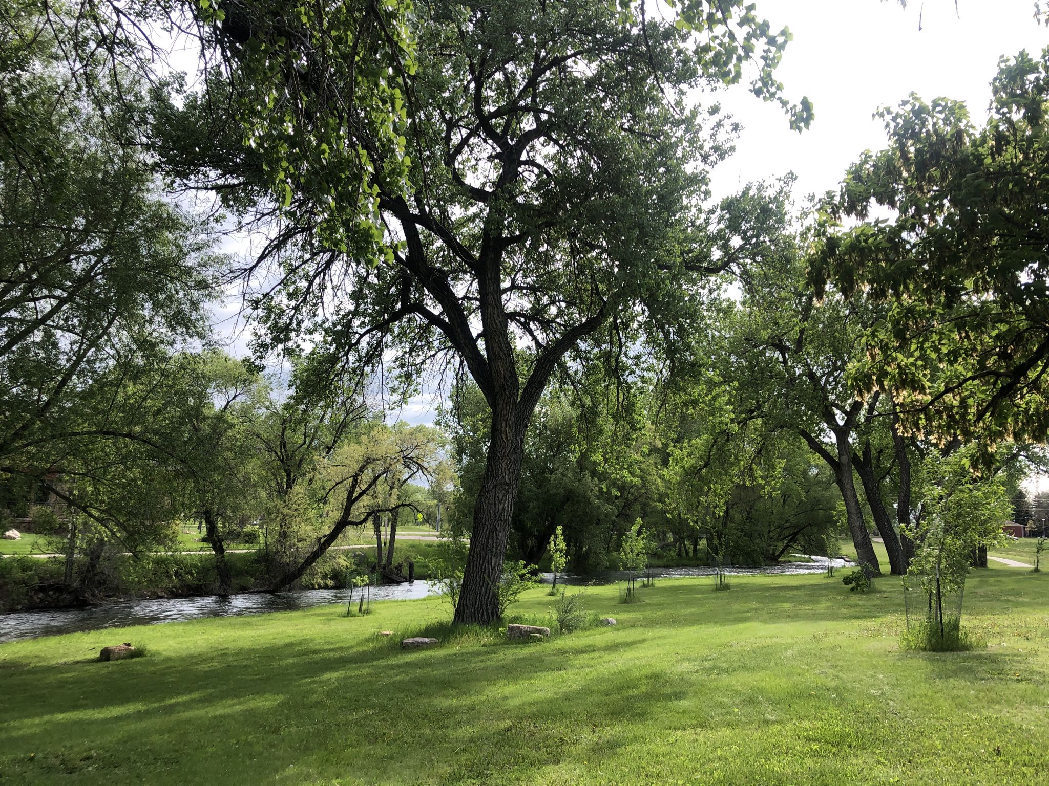 Shady park with large trees and a flowing river under a bright sky. - Rapid City – M Hill loop from Rapid City
