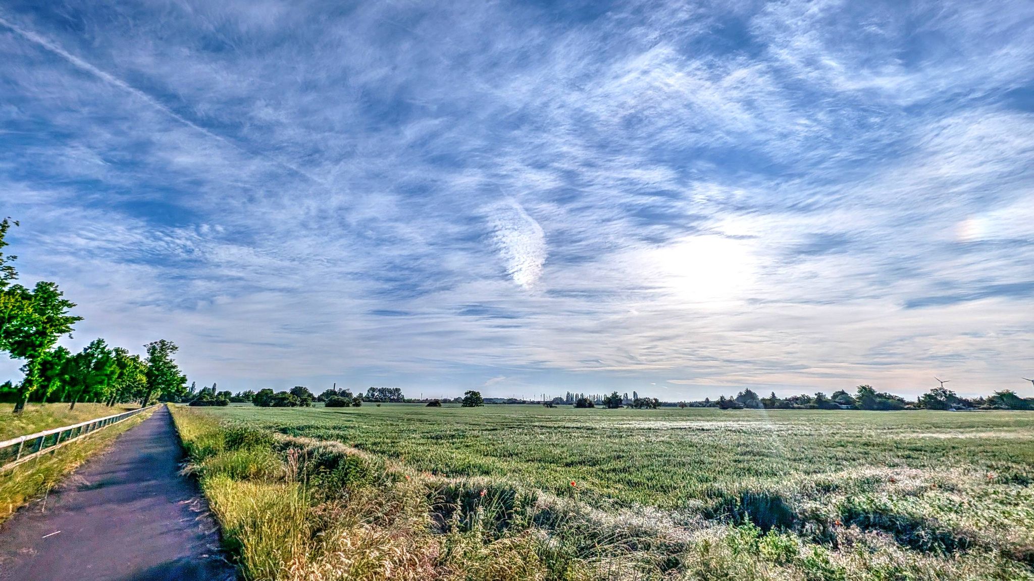 zwischen Neundorf und Staßfurt