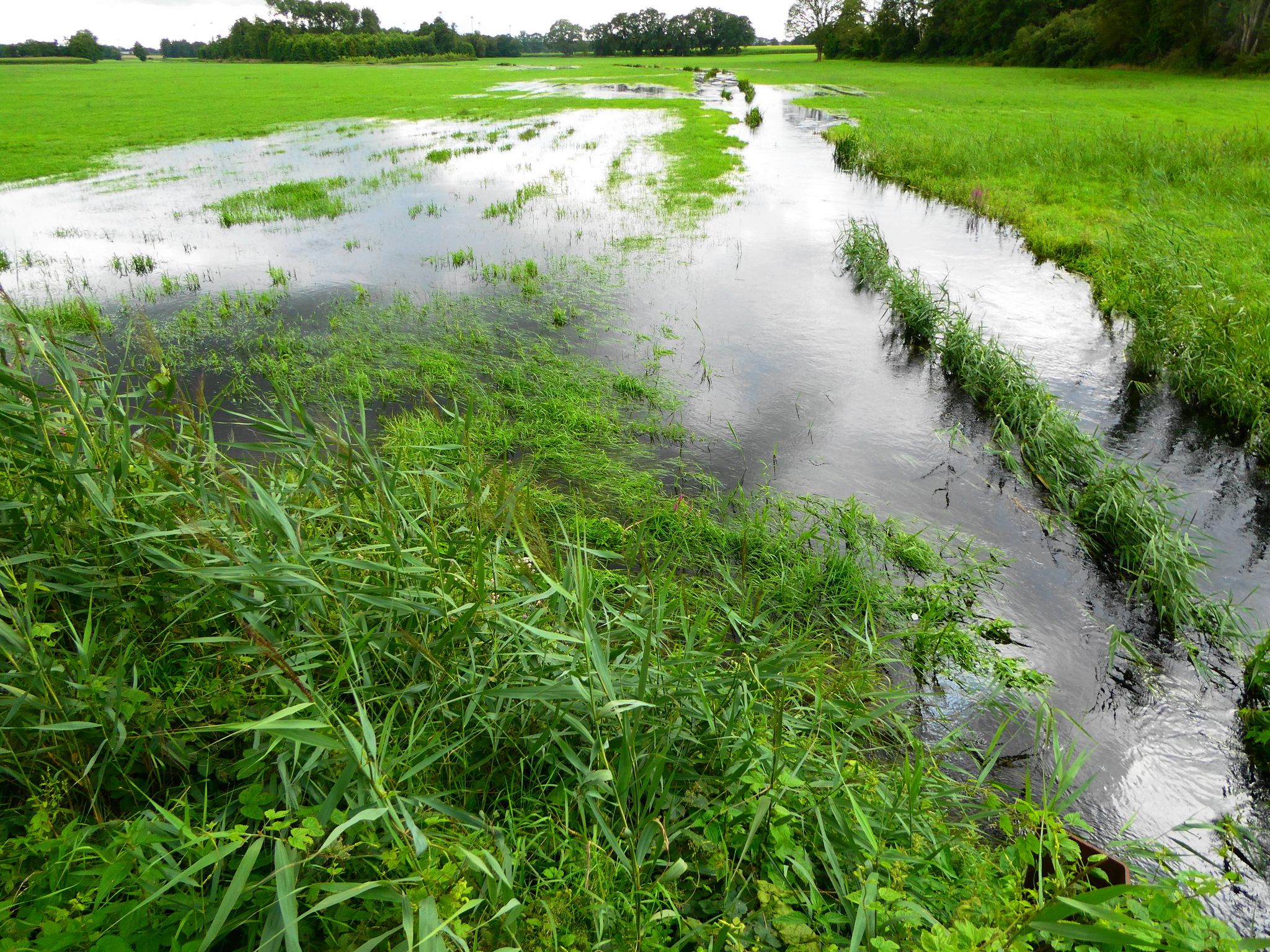 Aue führt Hochwasser