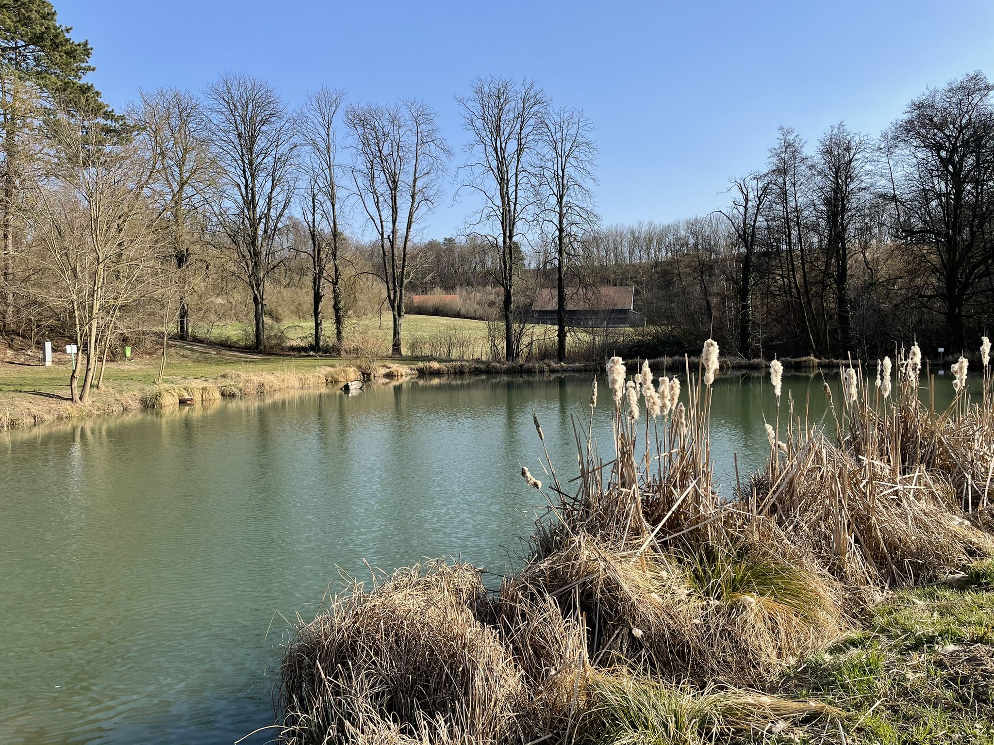 Teich in Gaweinstal