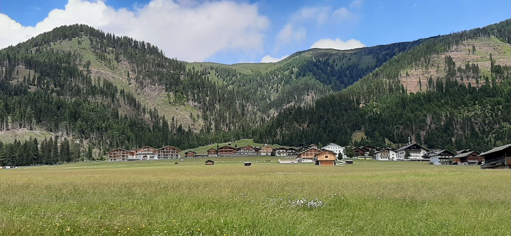 in den Wäldern rund um Obertilliach liegen Unmassen Sturmholz herum