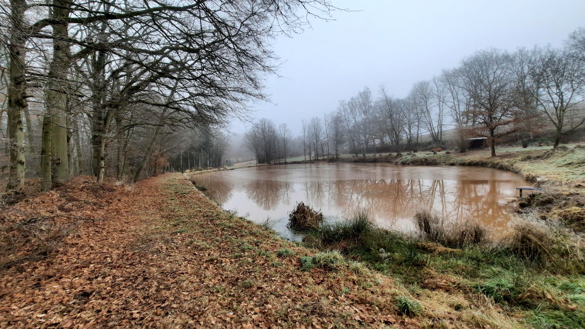Waldweiher