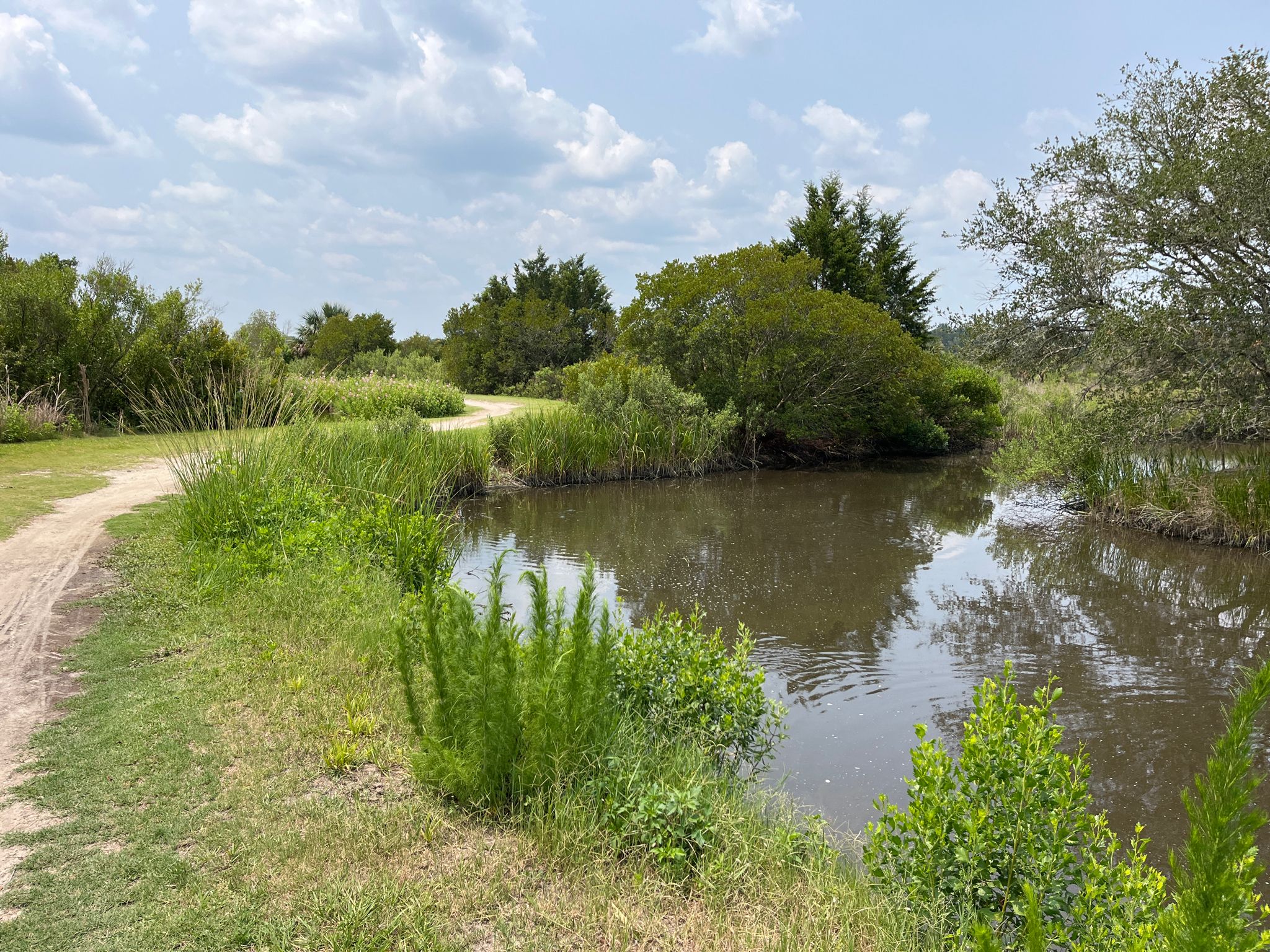 Dirt path curves beside a calm pond, lush green foliage, bright day. - Running loop from Amelia Island Light