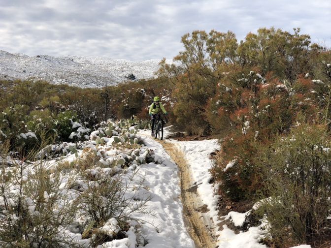 Mountain biker on a snowy trail through brush under an overcast sky. - Palm Canyon Epic – San Bernardino National Forest