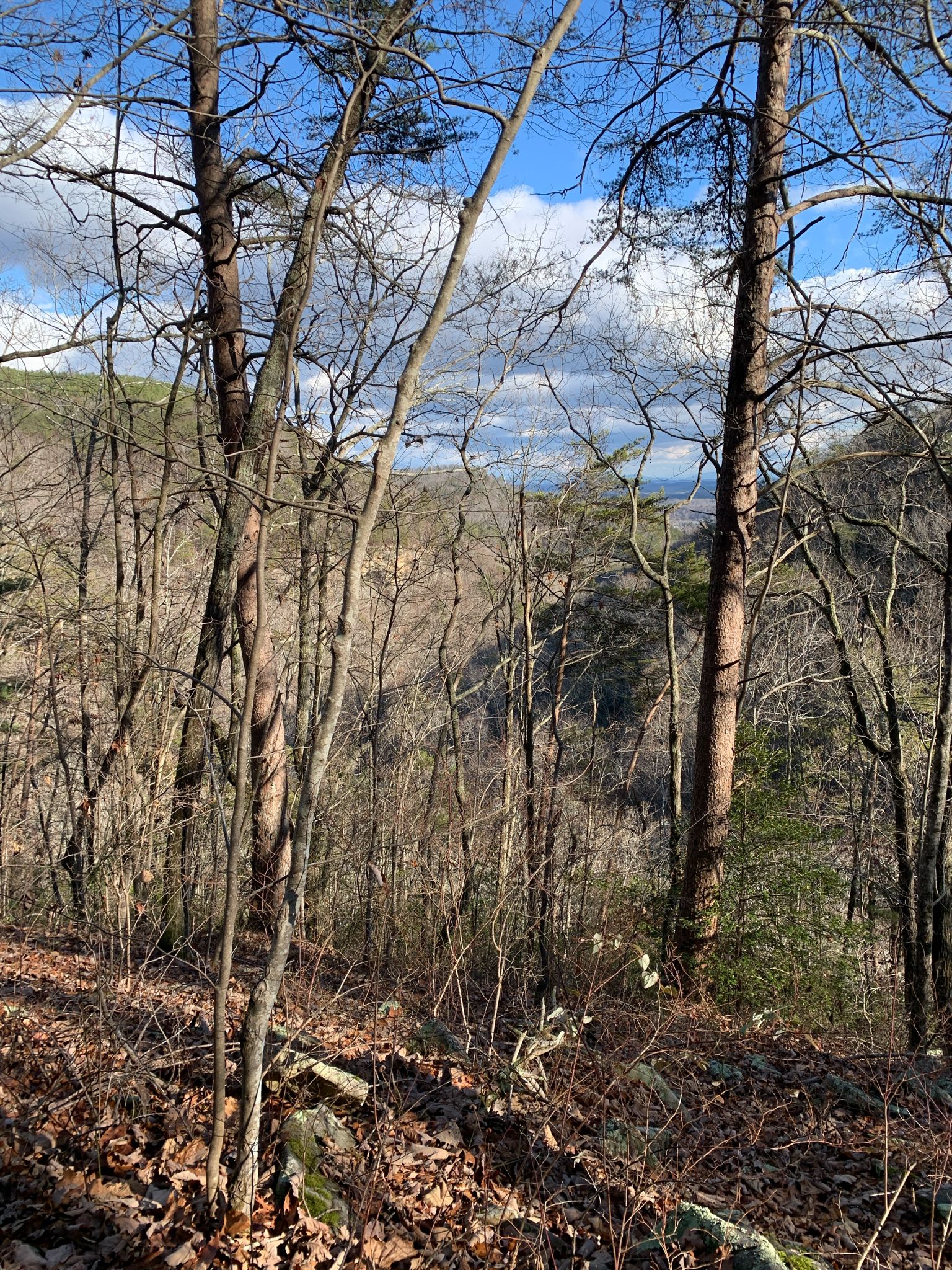 Bare trees frame a distant valley under a bright, cloudy sky. - Cumberland Trail