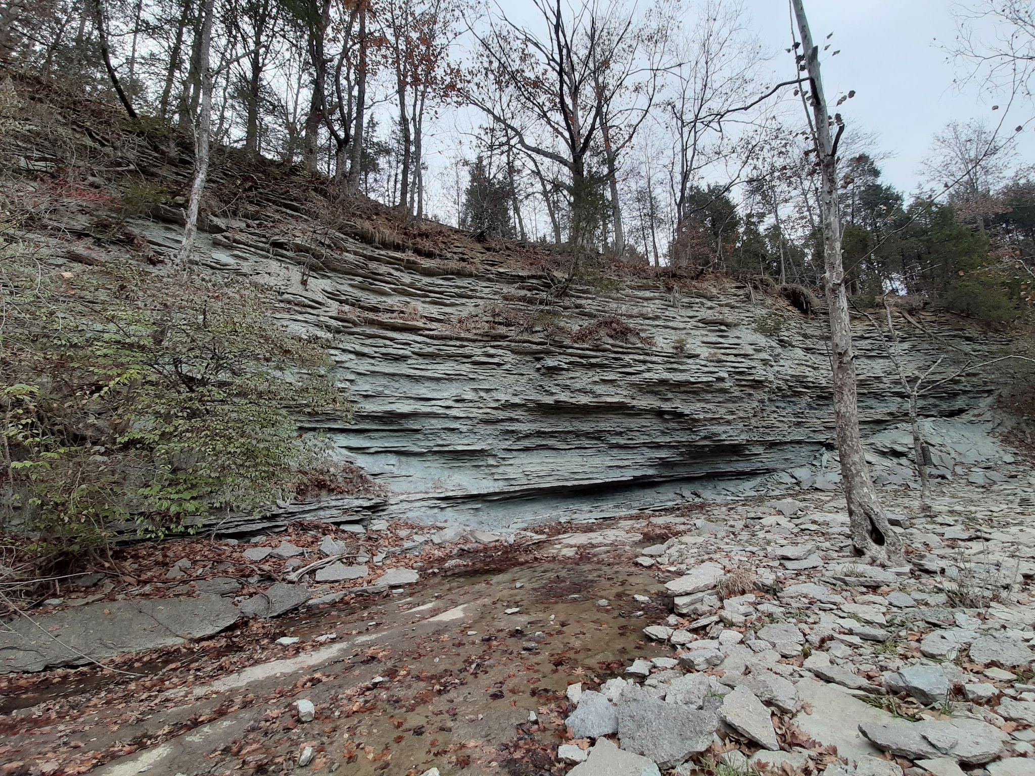 Large layered rock face and bare trees under an overcast sky. - Horseshoe Falls Trail