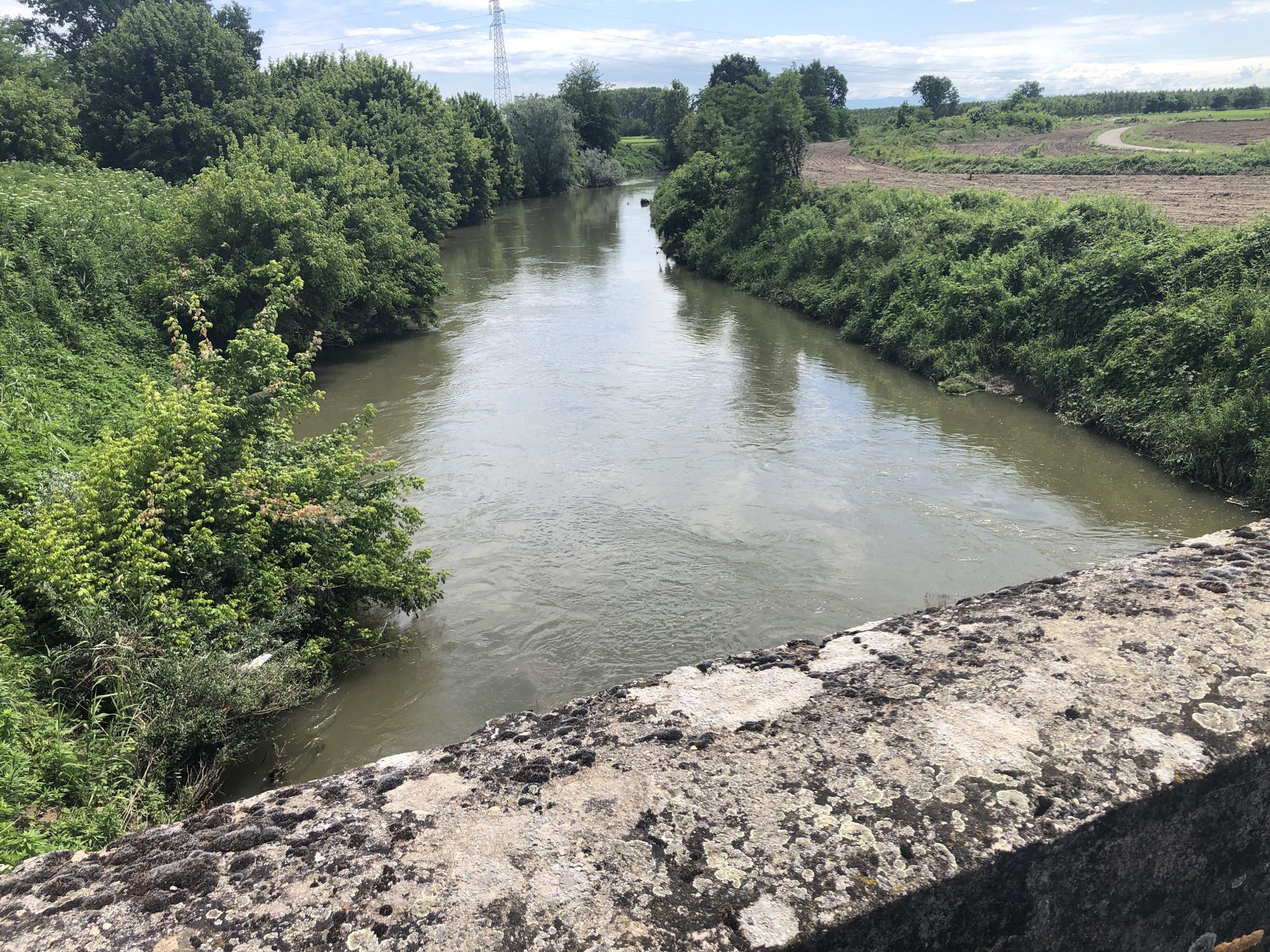 Torrente Agogna
