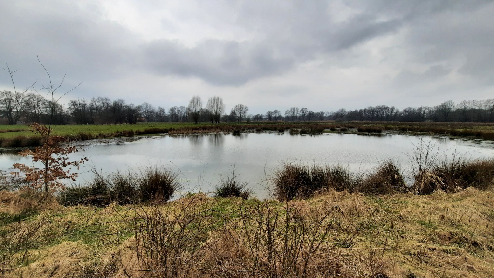 der Pöttcherteich