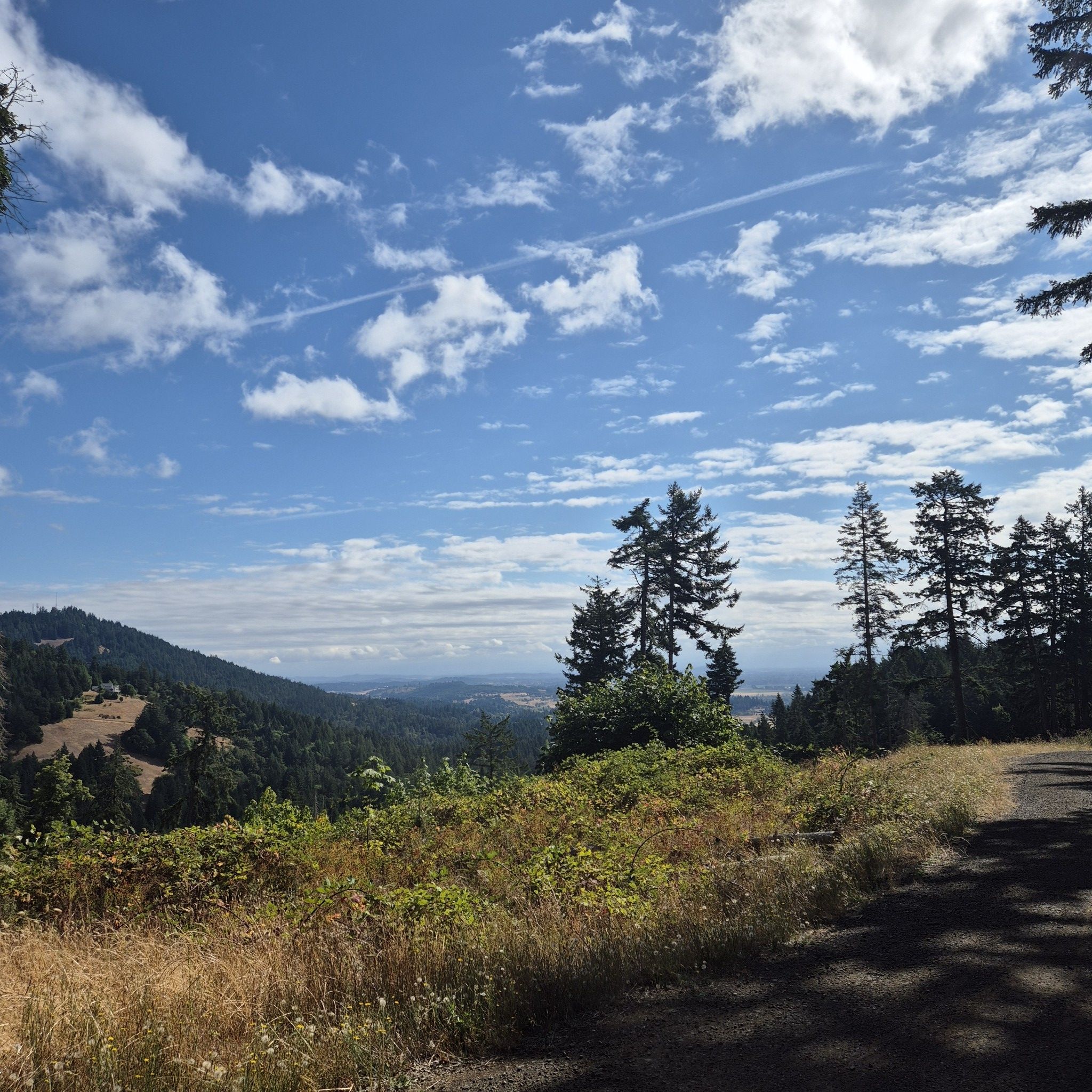 Panoramic view of forested hills under a bright, partly cloudy sky. - Middle Dan's Trail – Dimple Hill loop from Timberhill Natural Area