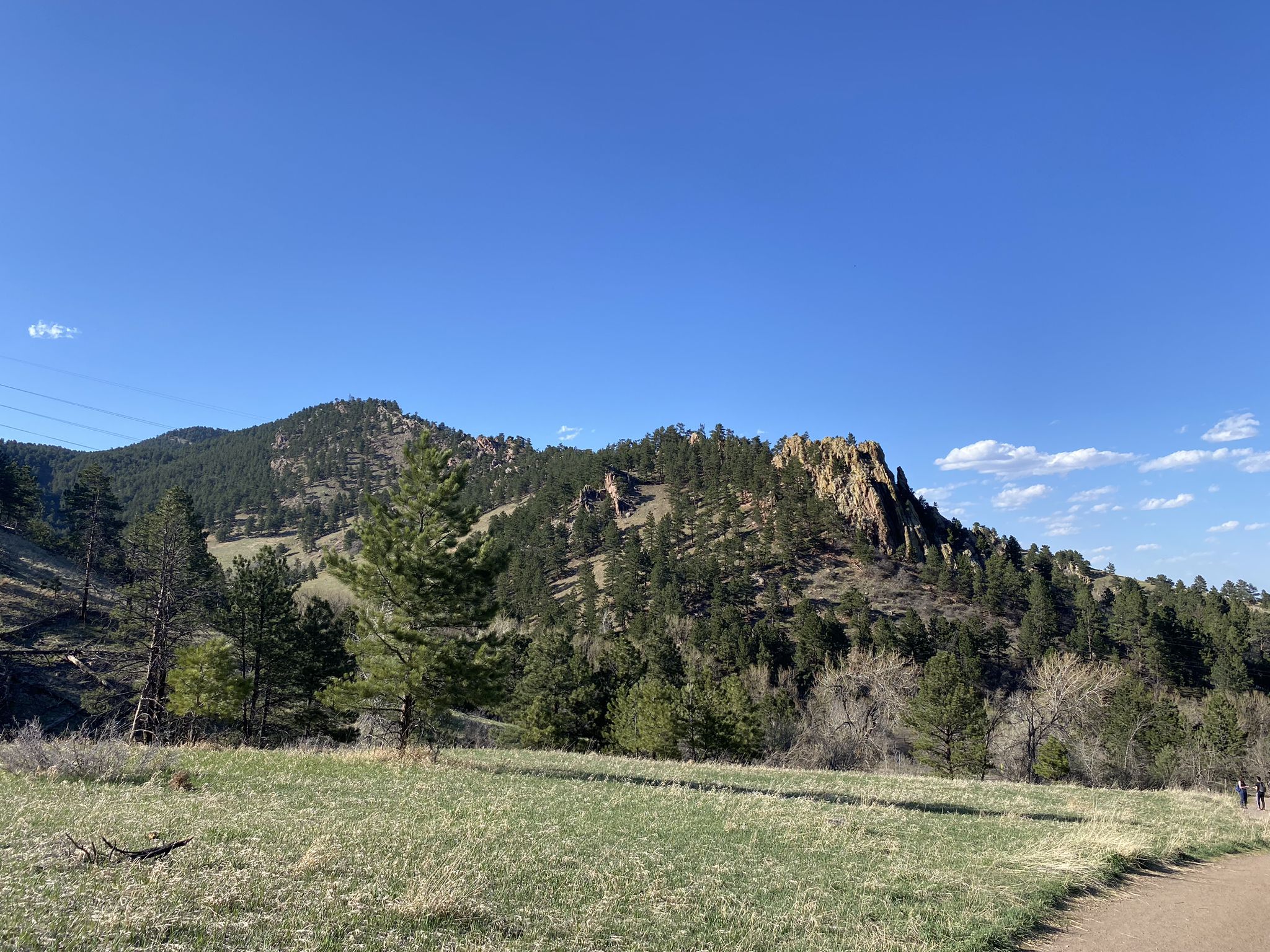 Sunny green field with pine-covered mountains and distant rocky peaks. - Anemone Loop Trail