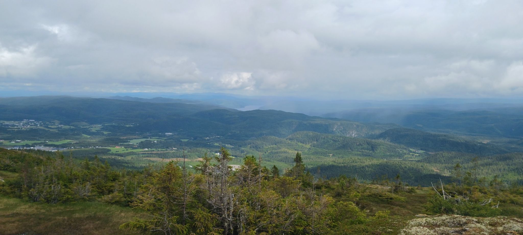 vessfellet