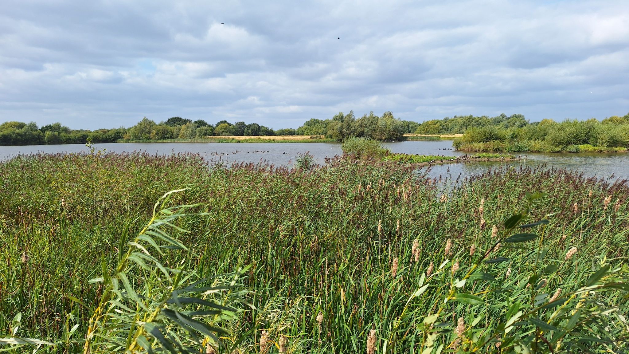 view from hide