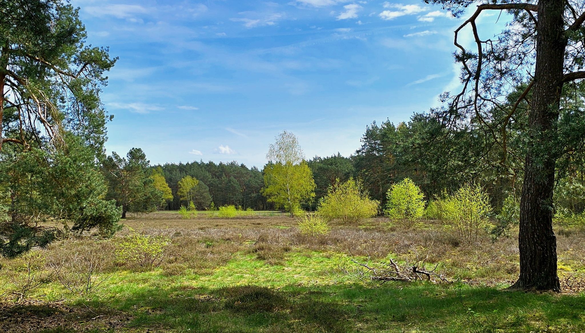 Blick auf die Reiterheide