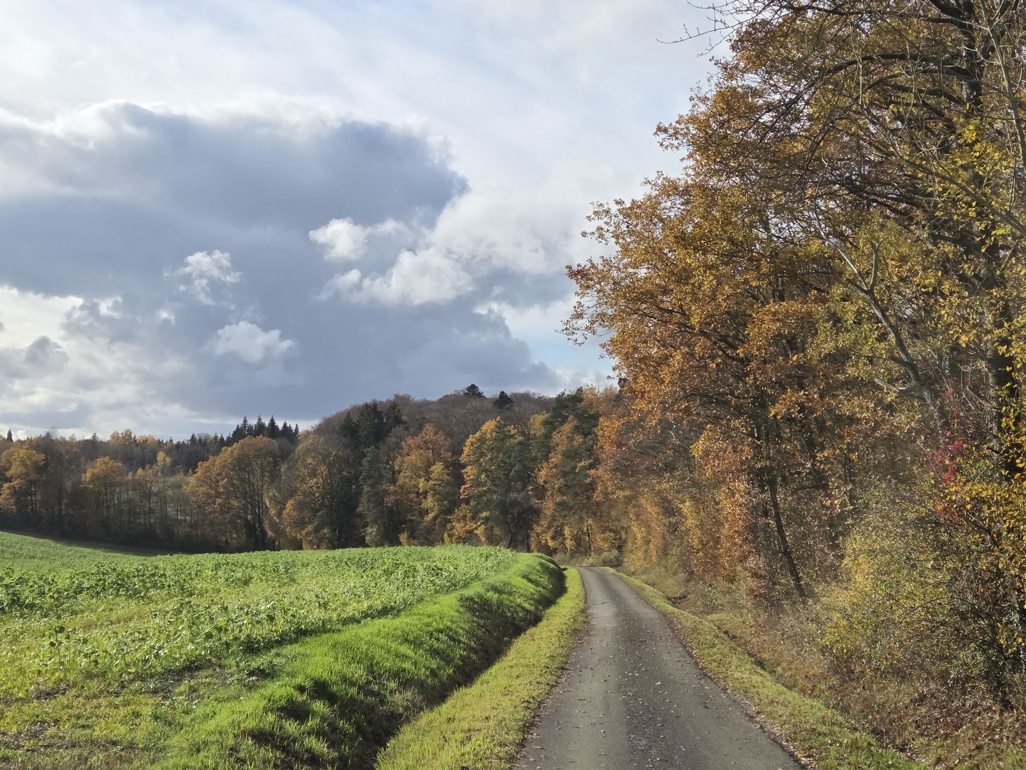 Weg zum Ziel