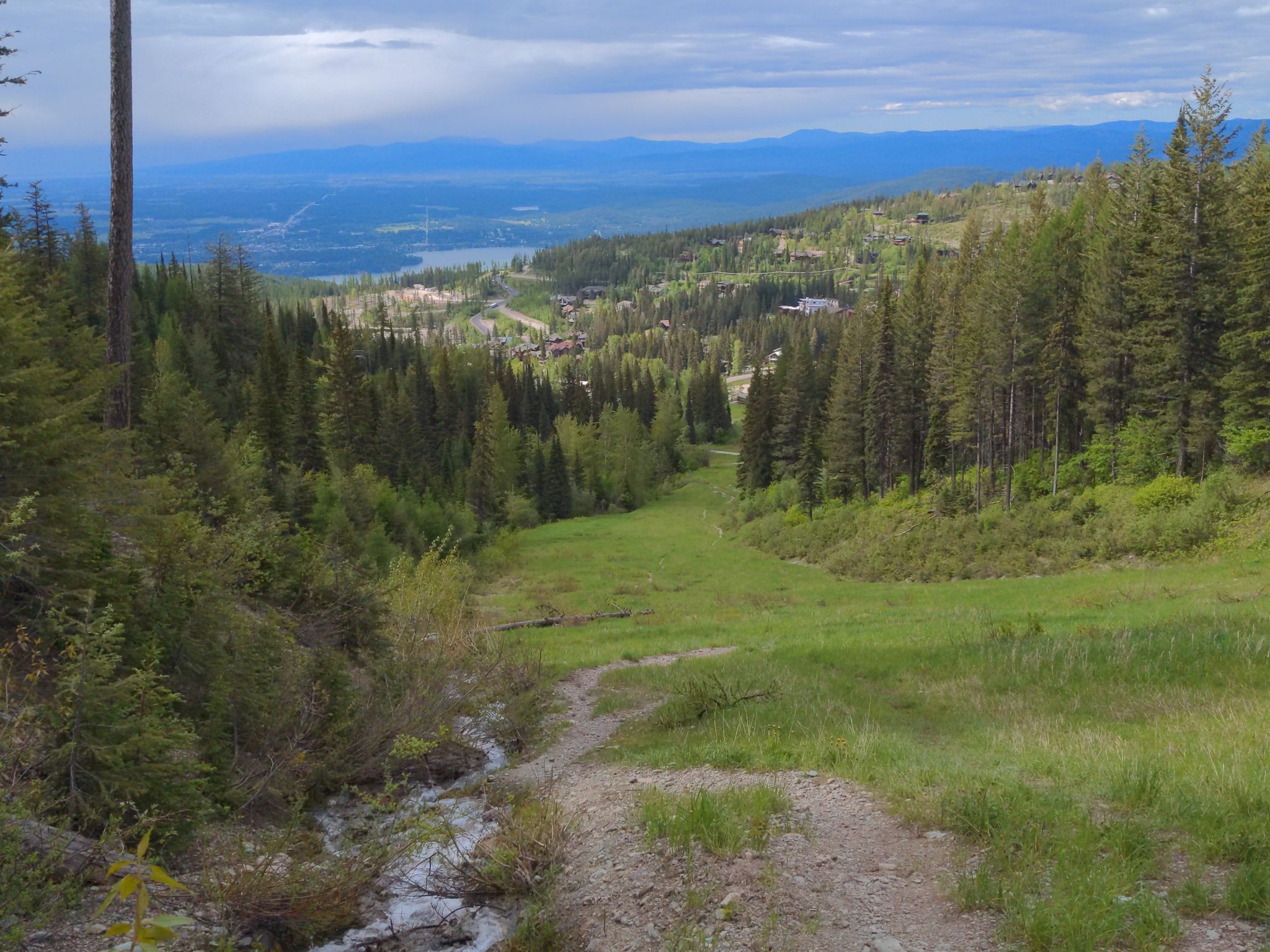 Grassy ski slope descends into a forested valley under a cloudy sky. - Summit Trail and Danny On Trail Loop