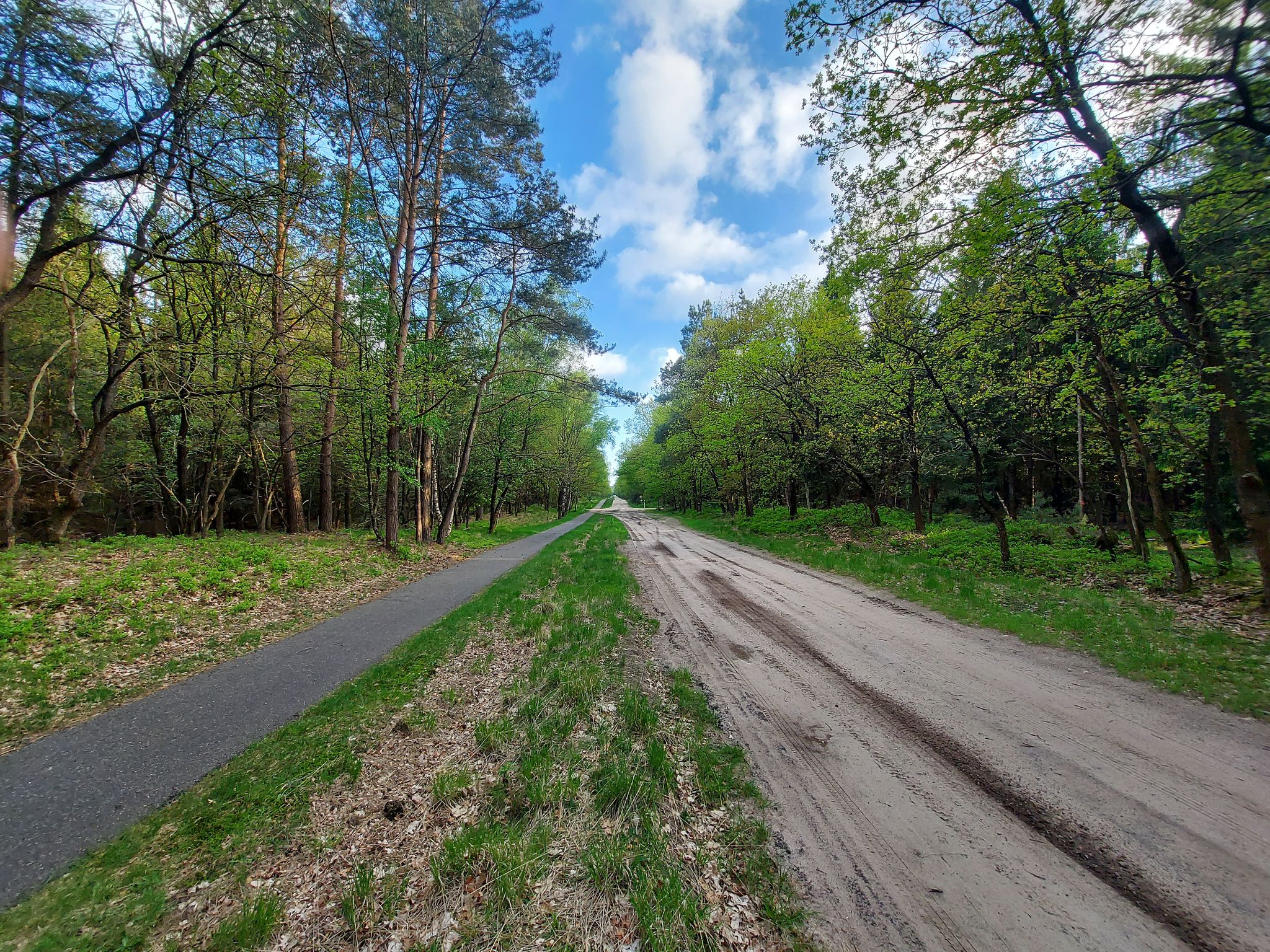 Herzog-Arenberg-Straße im Eleonorenwald